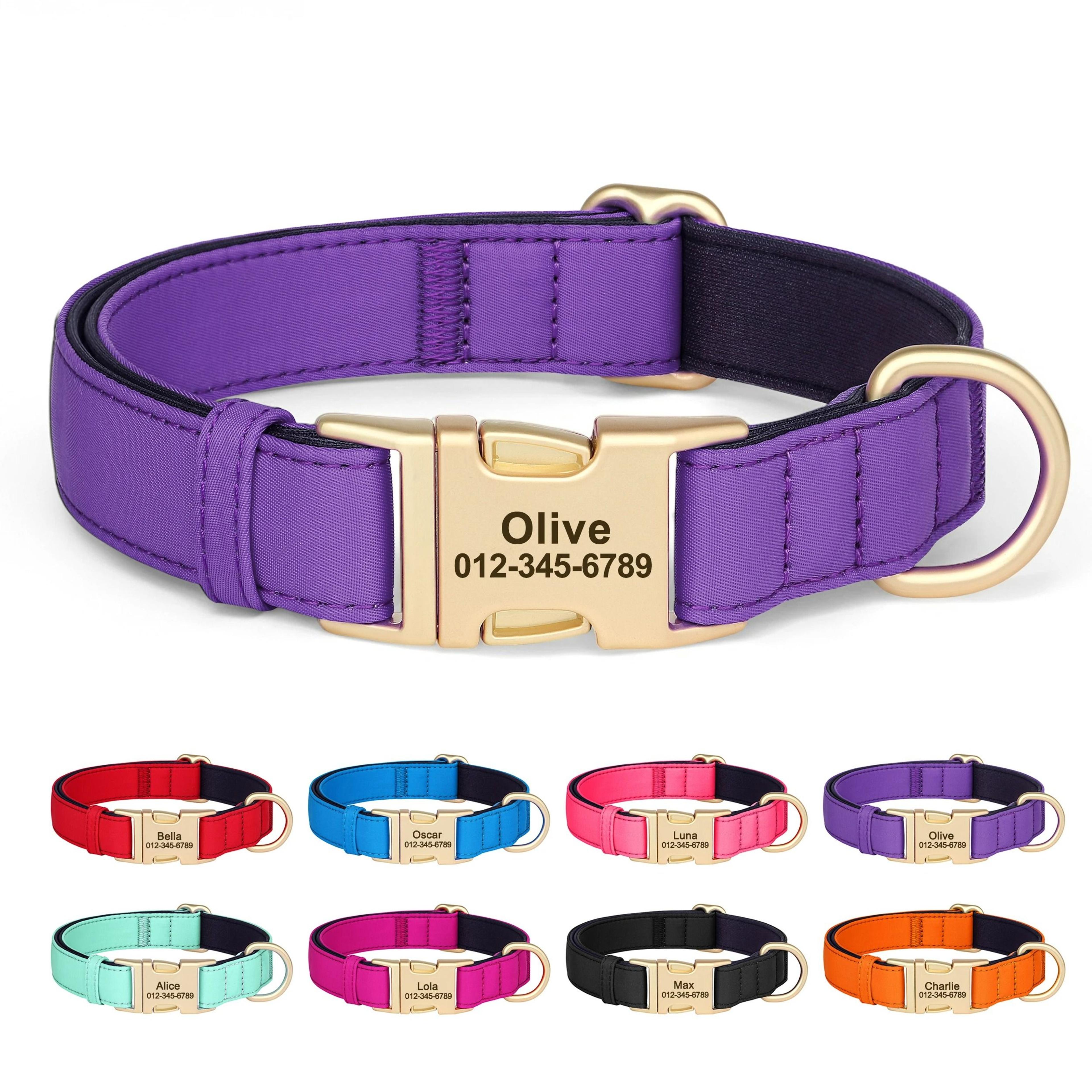 personalized waterproof dog collar – high-tensile padded nylon necklace with laser-engraved safety identification
