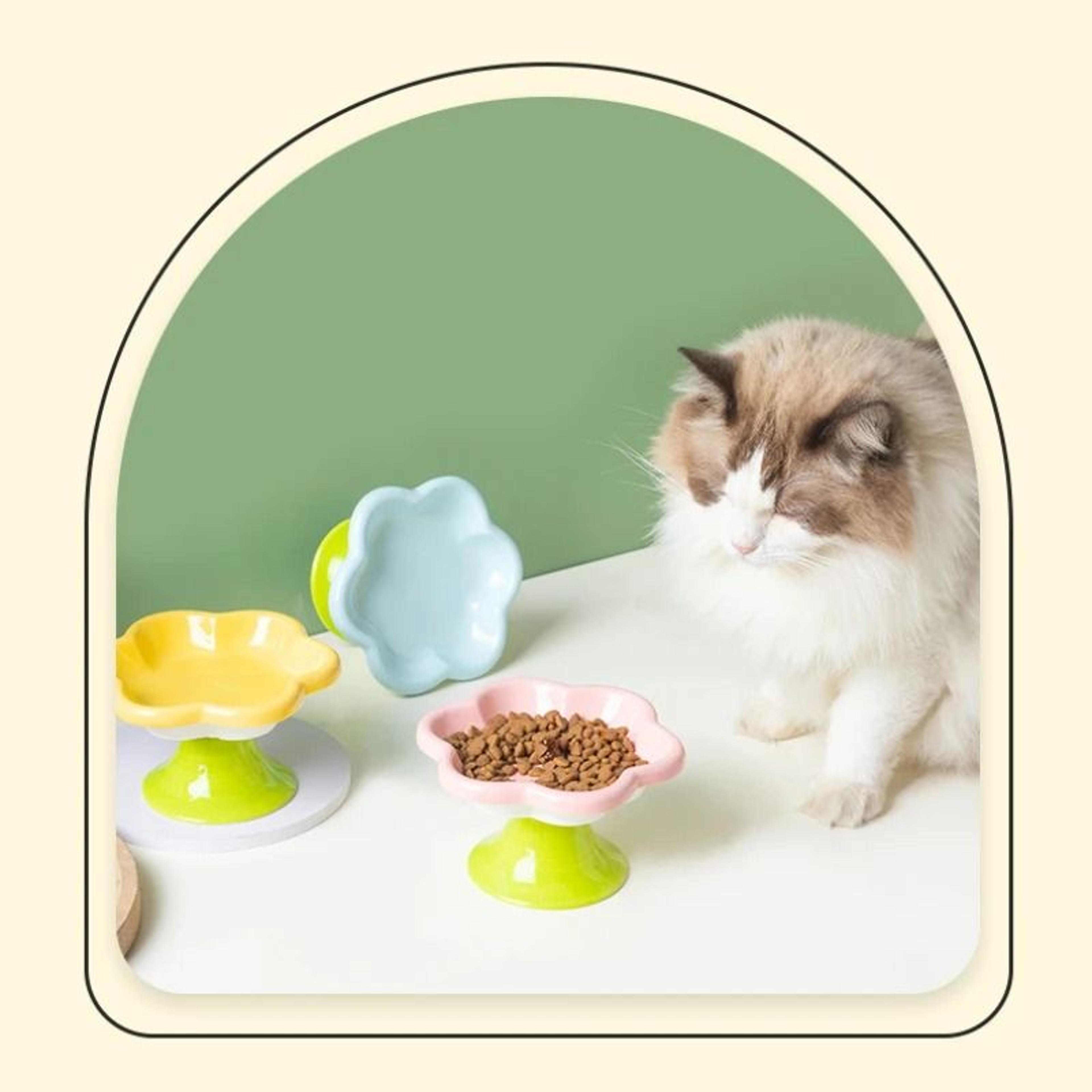 floral elevated ceramic pet bowl