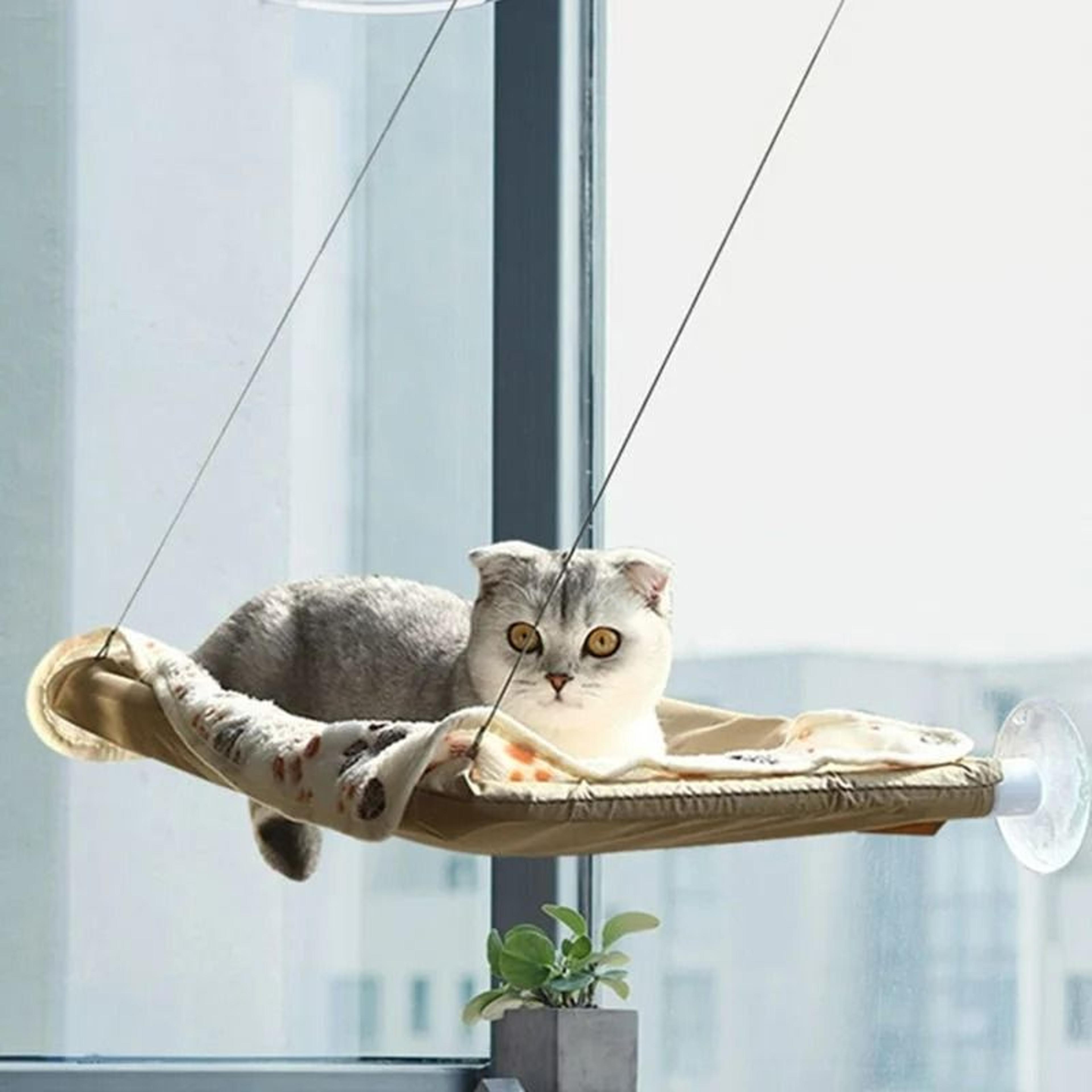heavy-duty window mount cat hammock & sunny seat