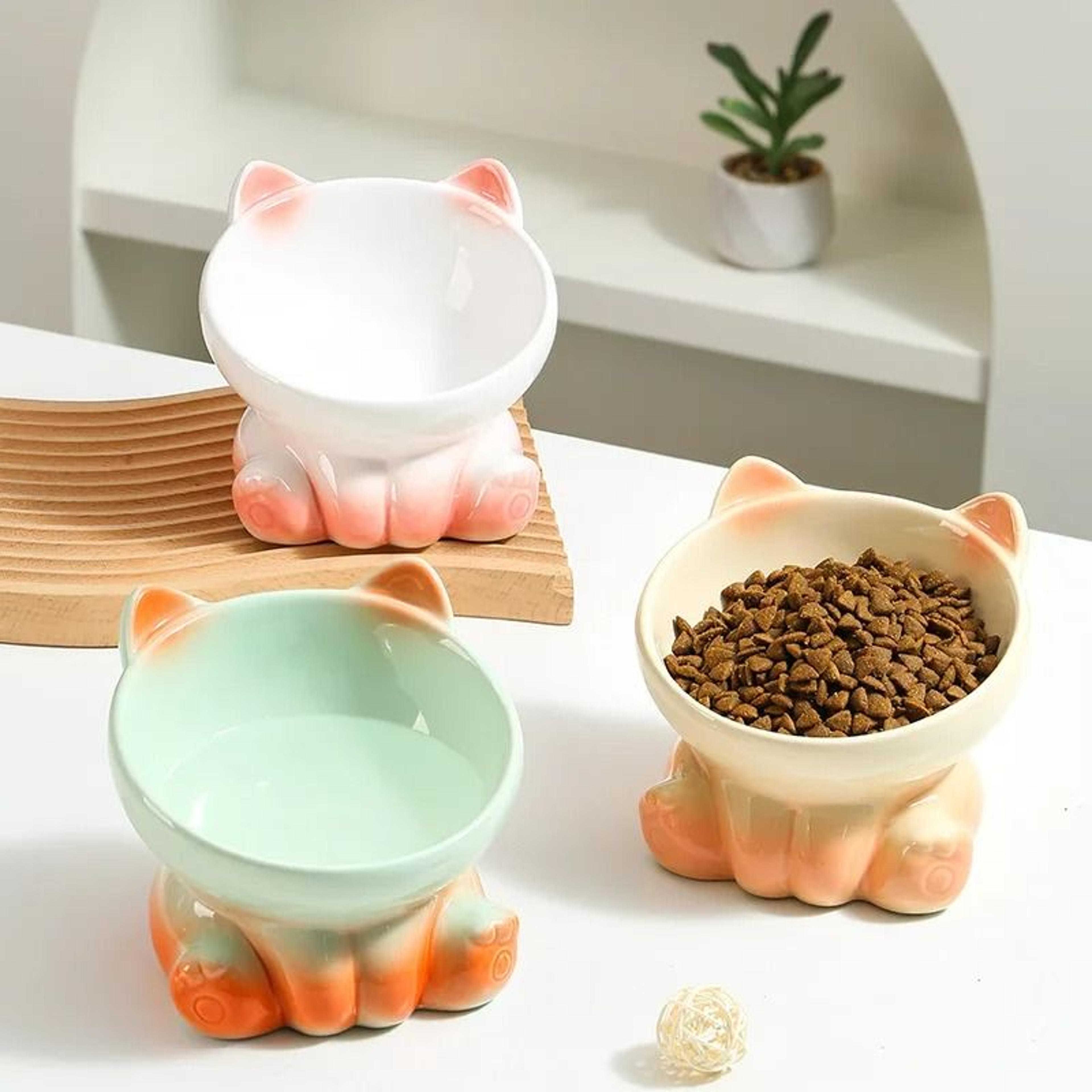gradient ergonomic slanted ceramic pet bowl