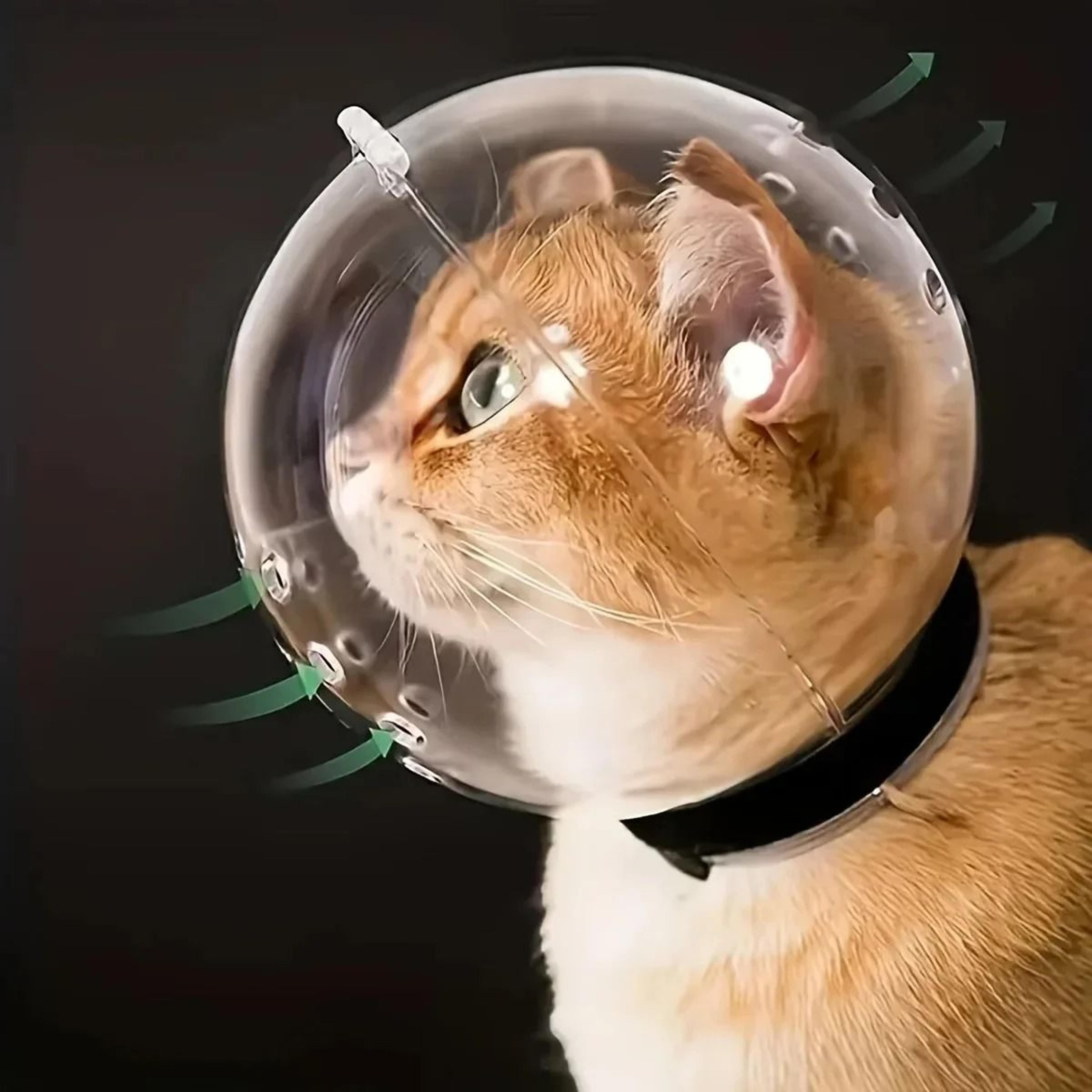 breathable anti-bite grooming astronaut helmet