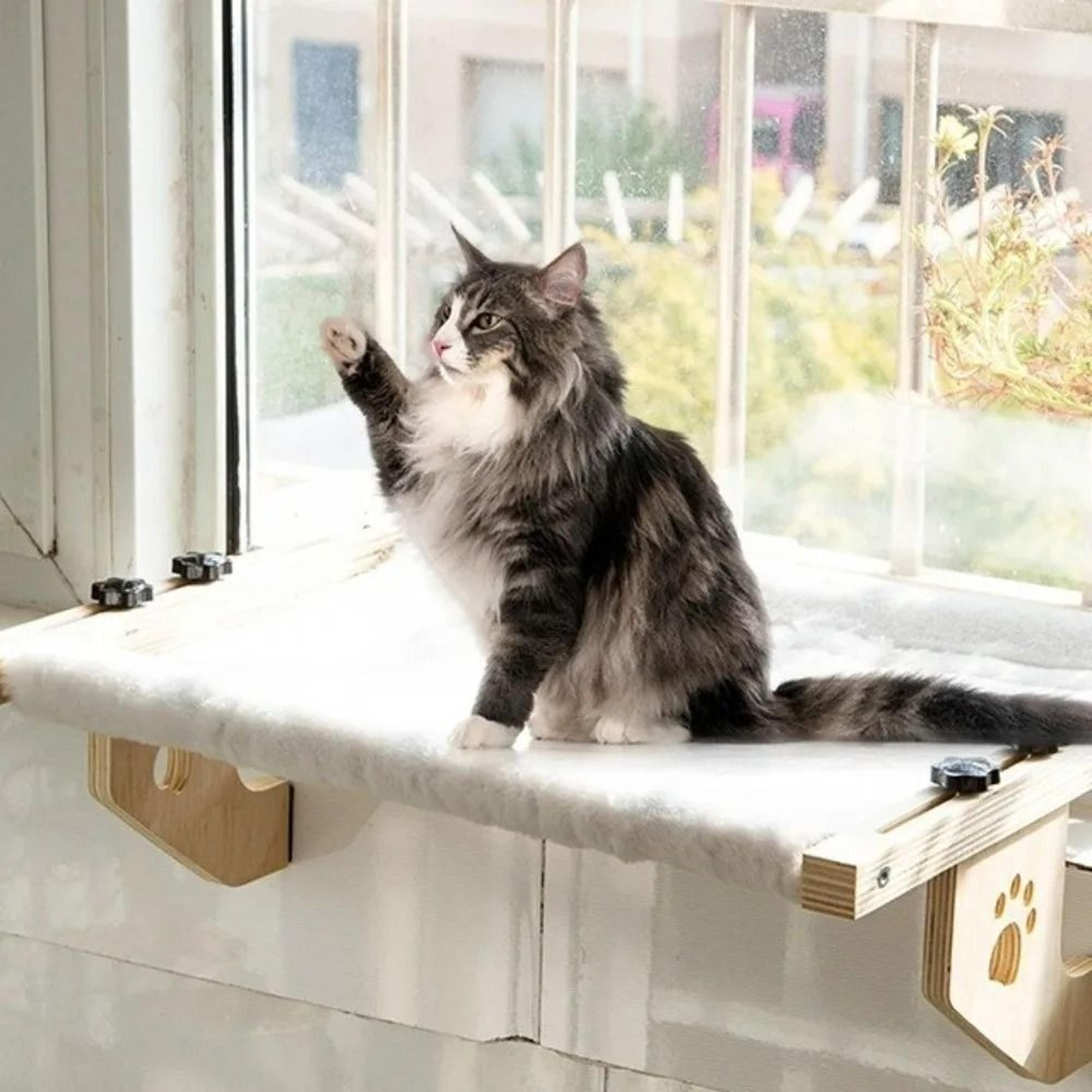 creative wooden frame paw print cat window perch