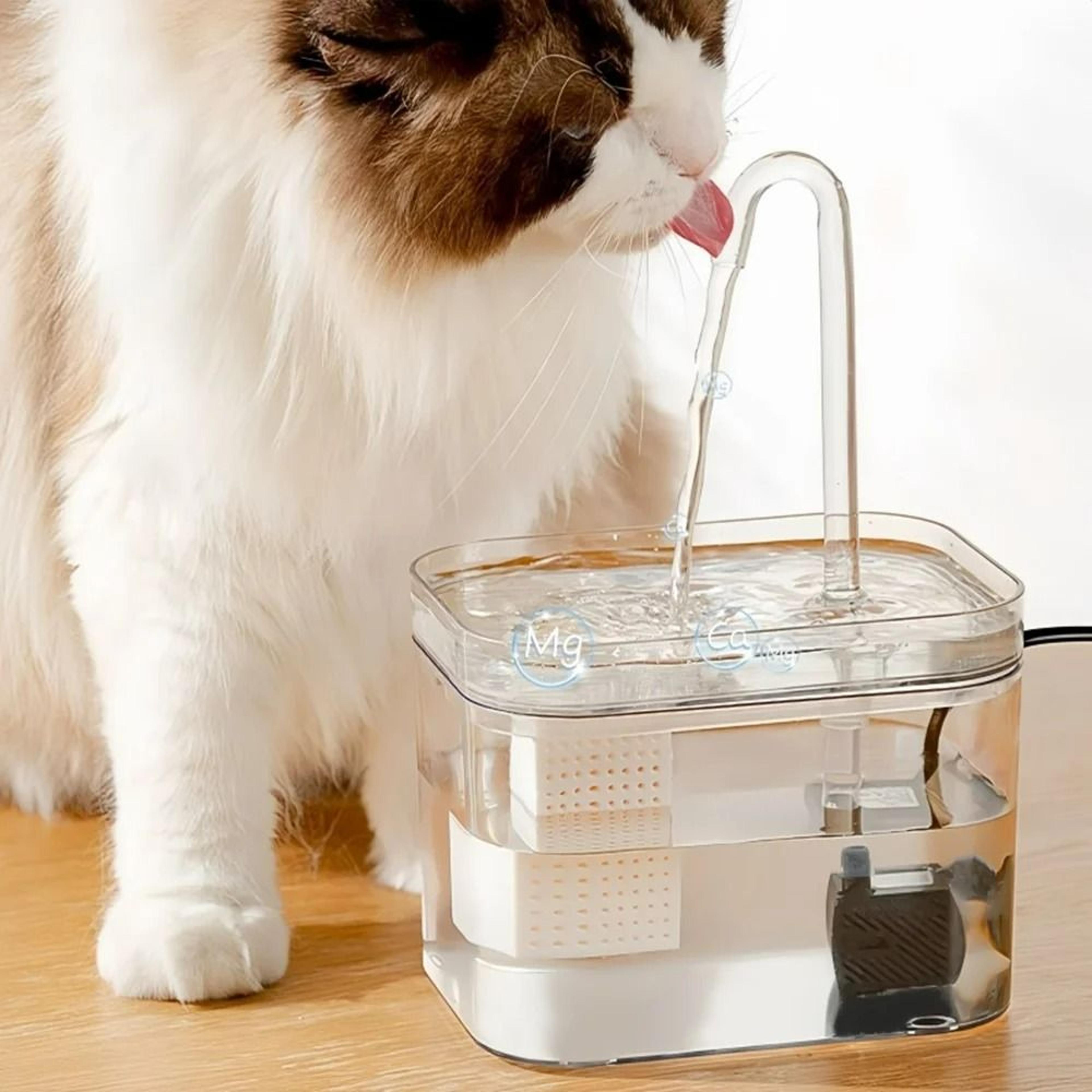 crystal-clear smart recirculating pet fountain