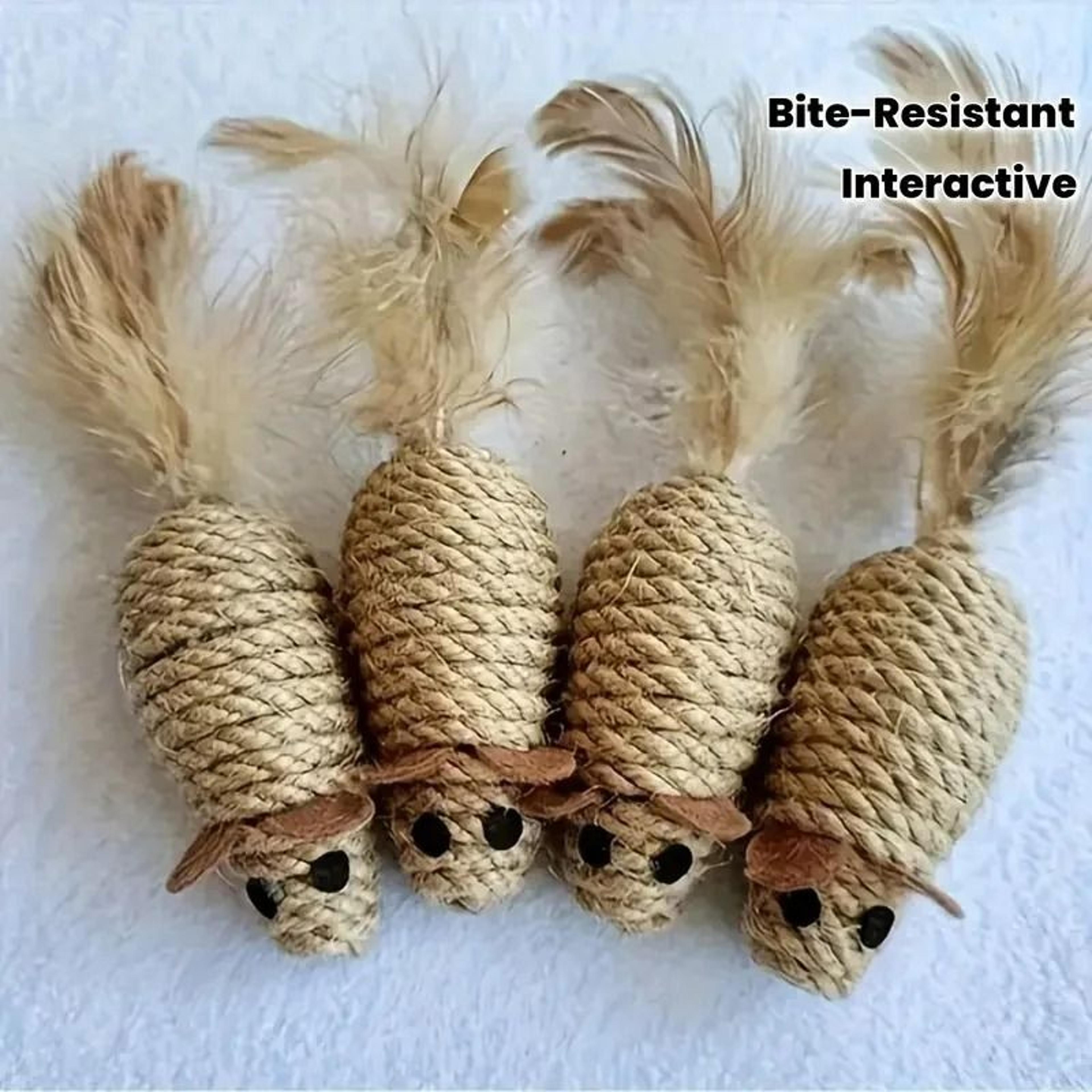 2-pack bite-resistant feather-tail mouse interactive toys