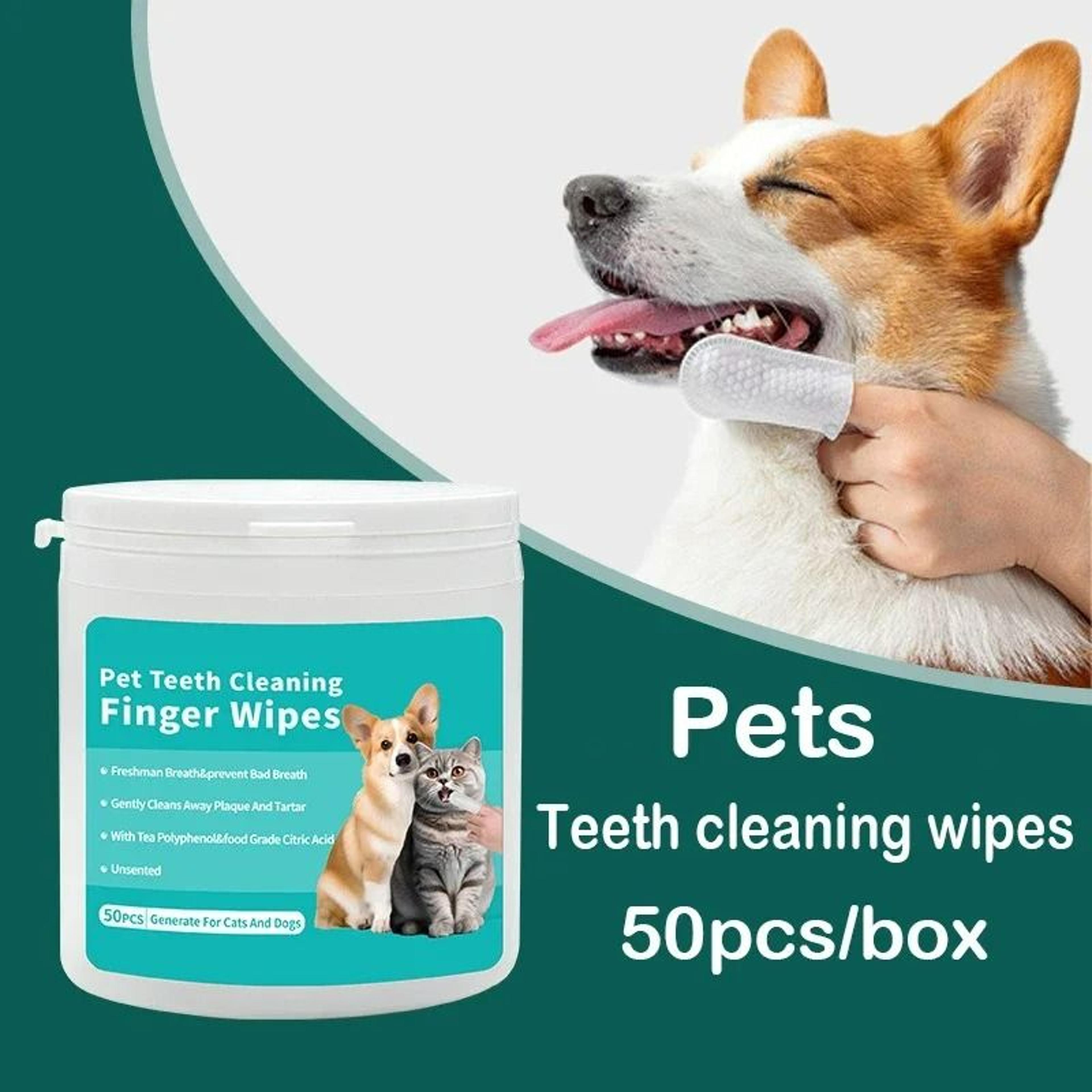 fresh-breath dental care disposable finger wipes (50 count)