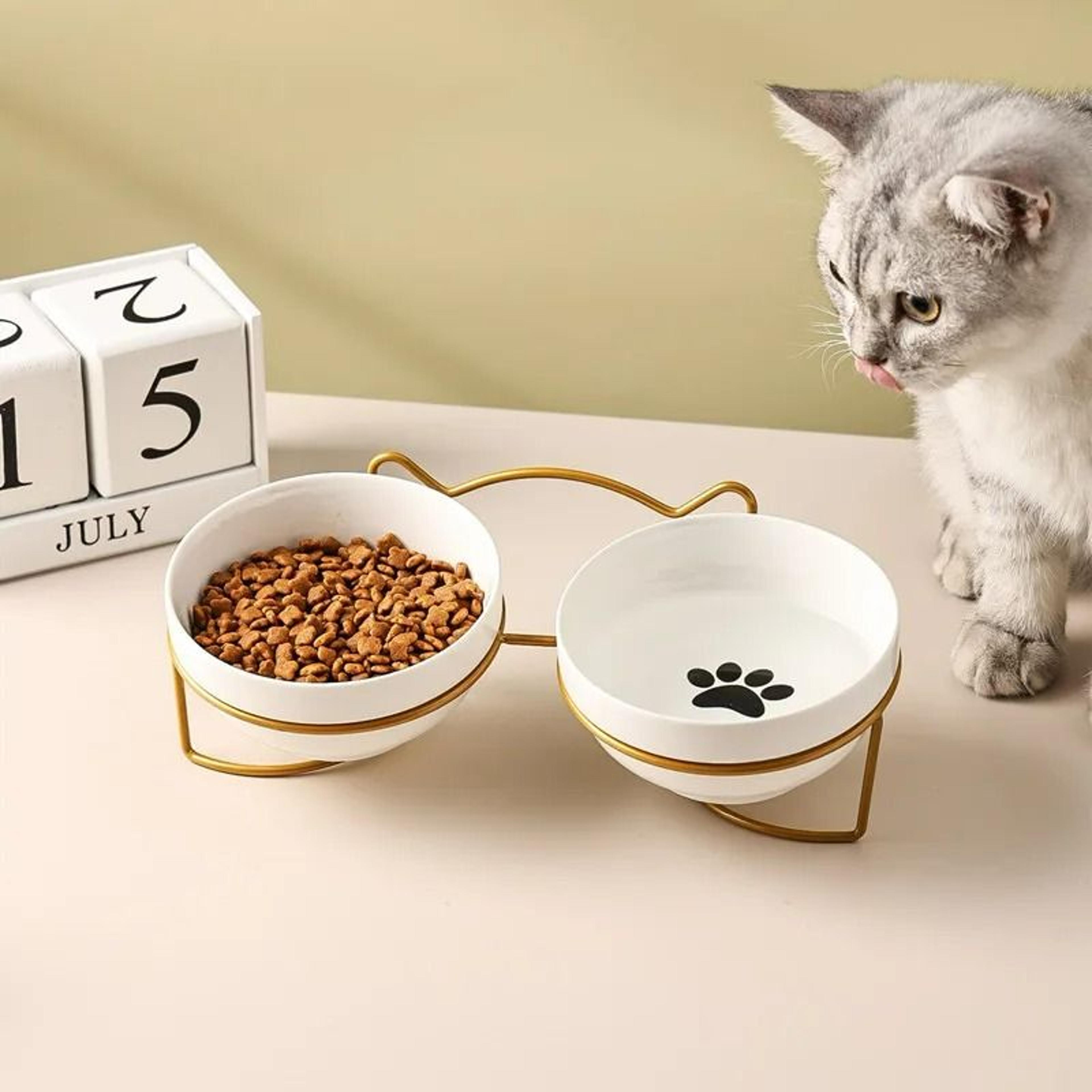 orthopedic double-station ceramic dining set