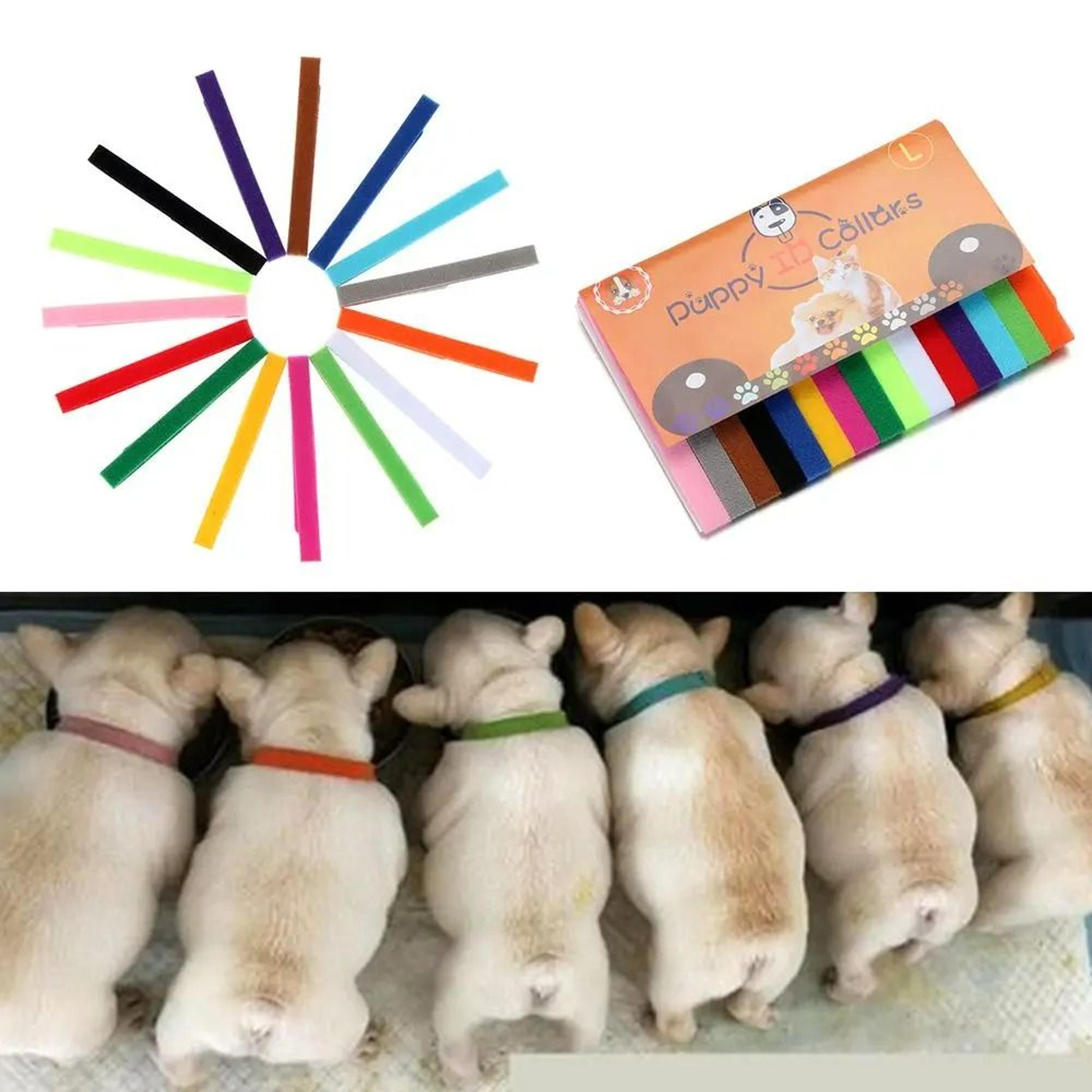 15-piece puppy & kitten id collars – adjustable soft nylon whelping set
