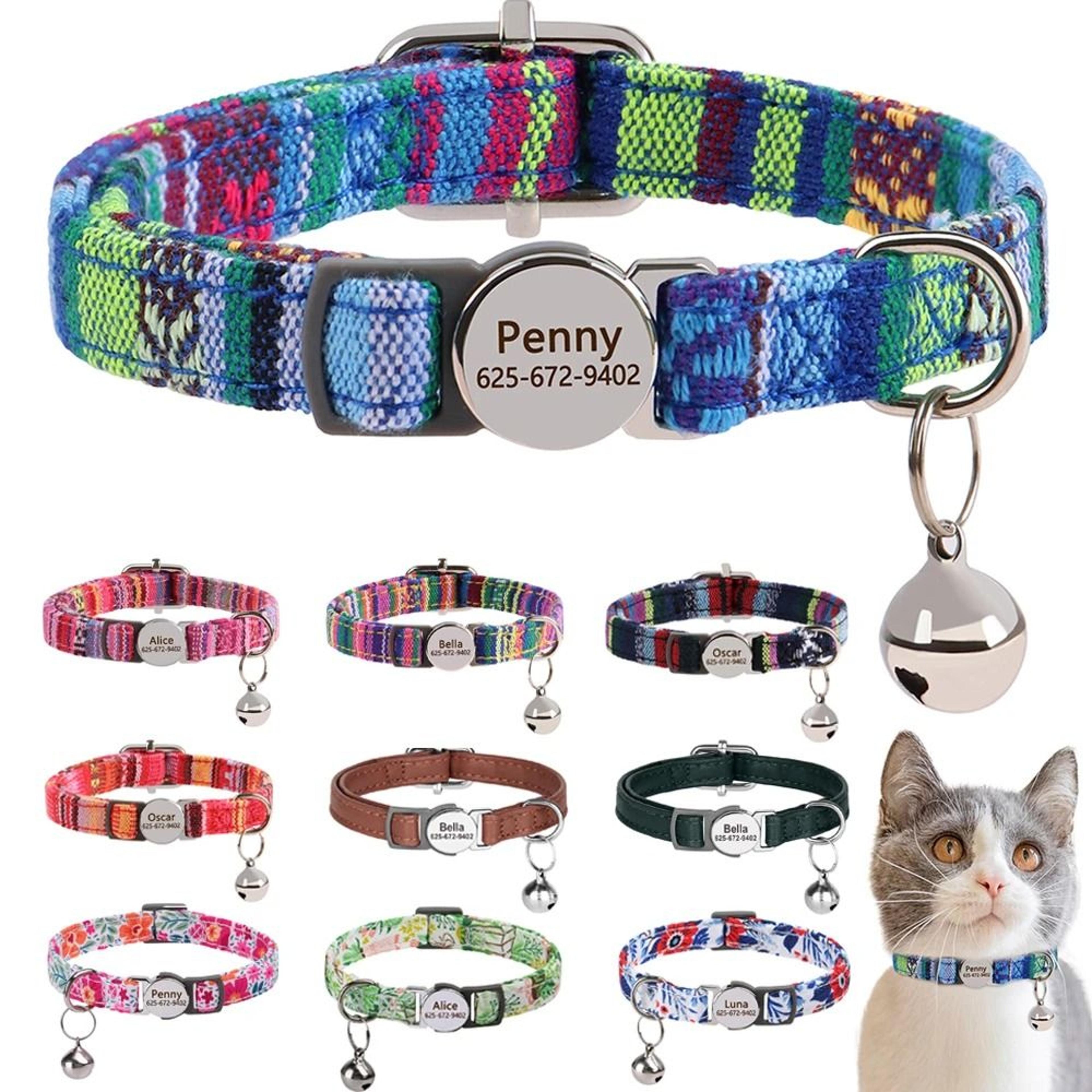 customized personalized id safety cat collar with engraved nameplate