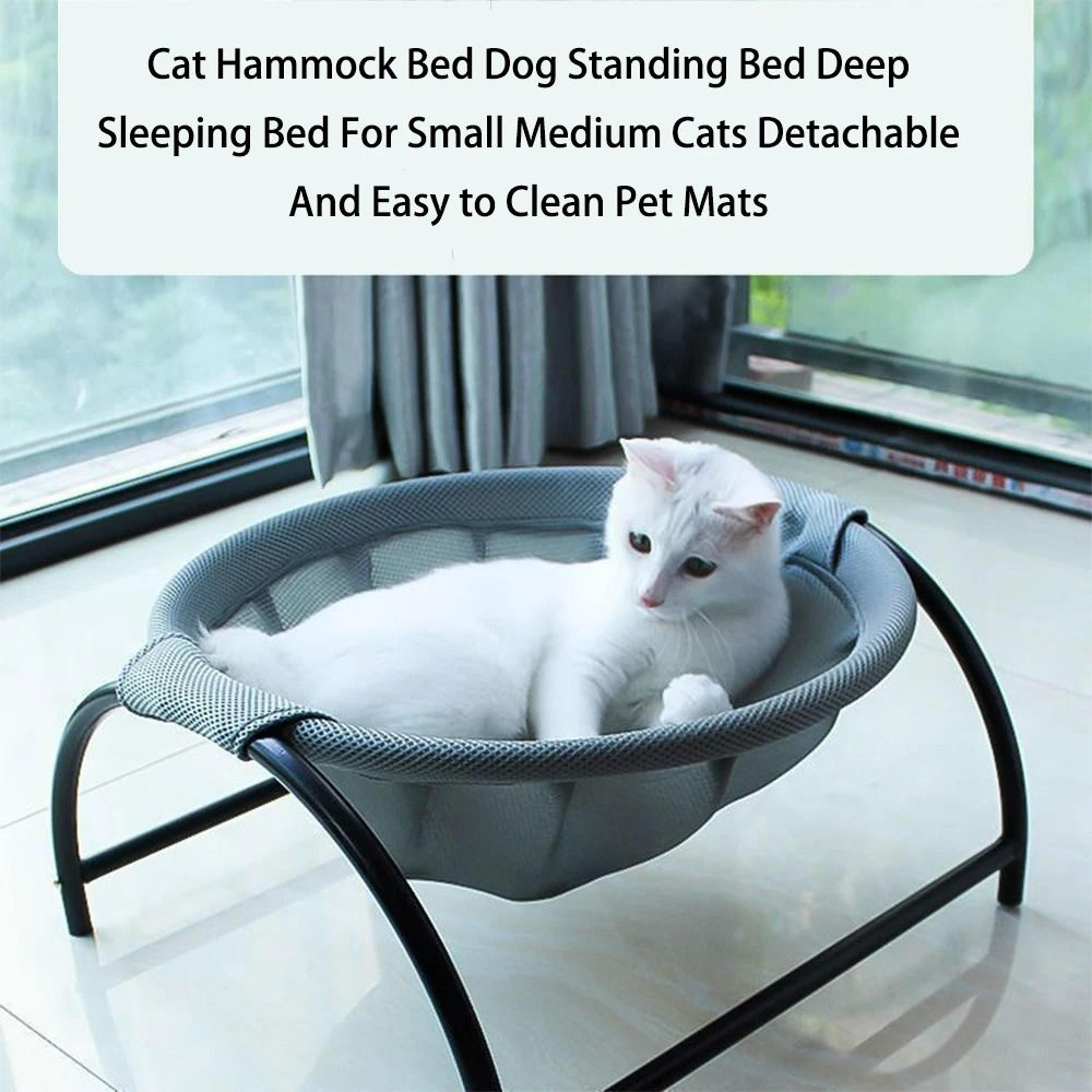 multi-season elevated cat hammock bed