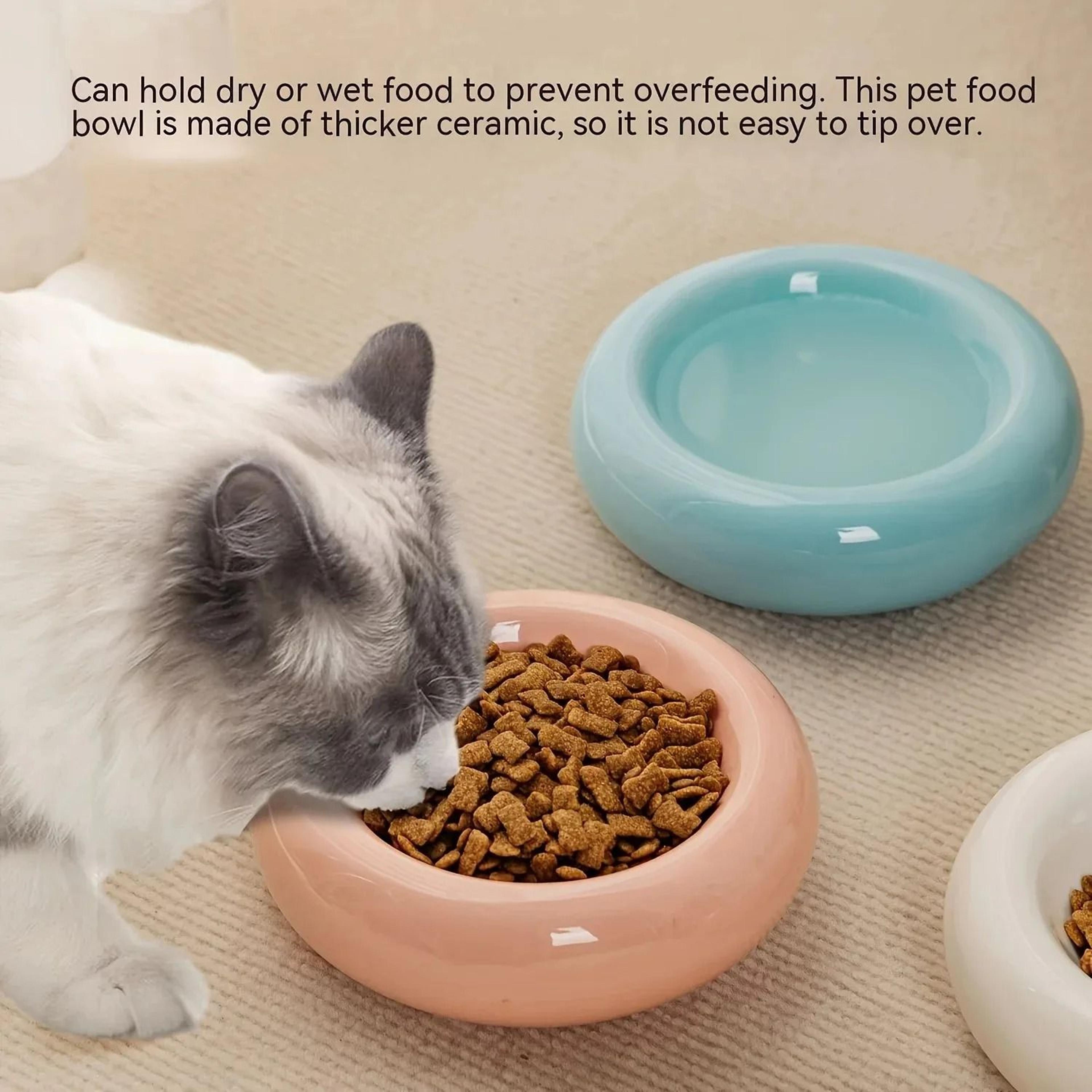 premium donut ceramic cat food & snack bowl