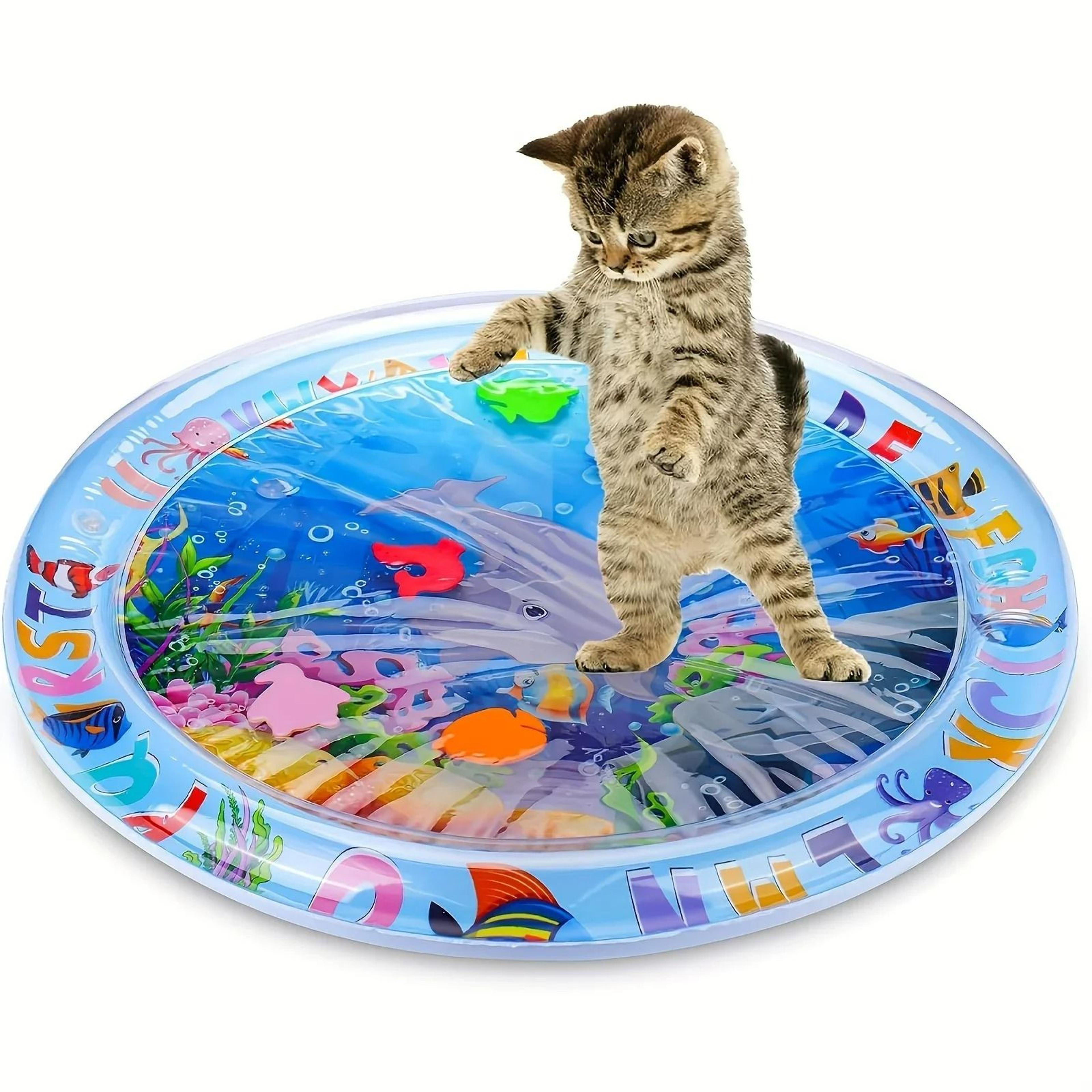 spill-proof interactive water sensory cat mat