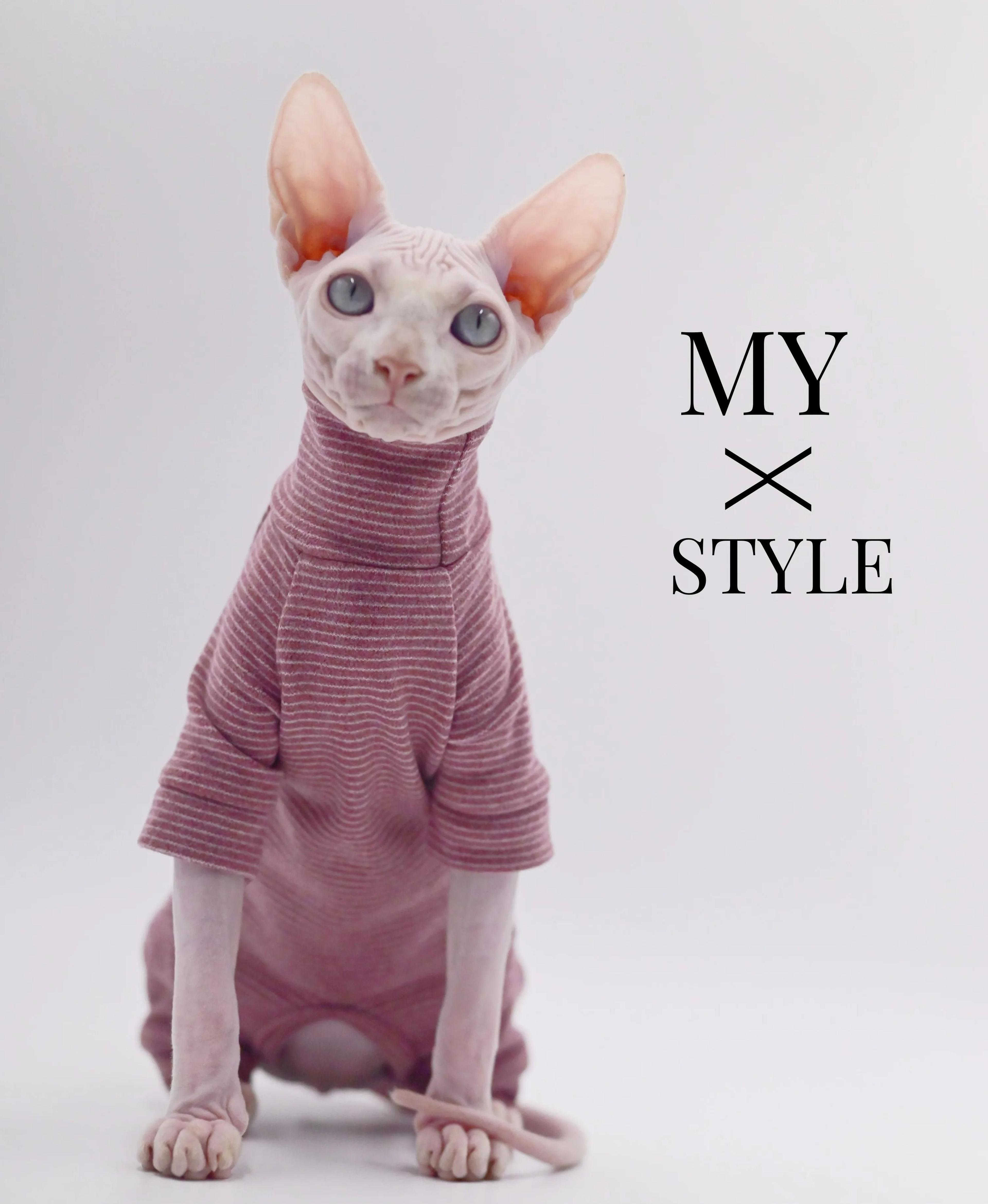four-legged hairless cat winter hoodie