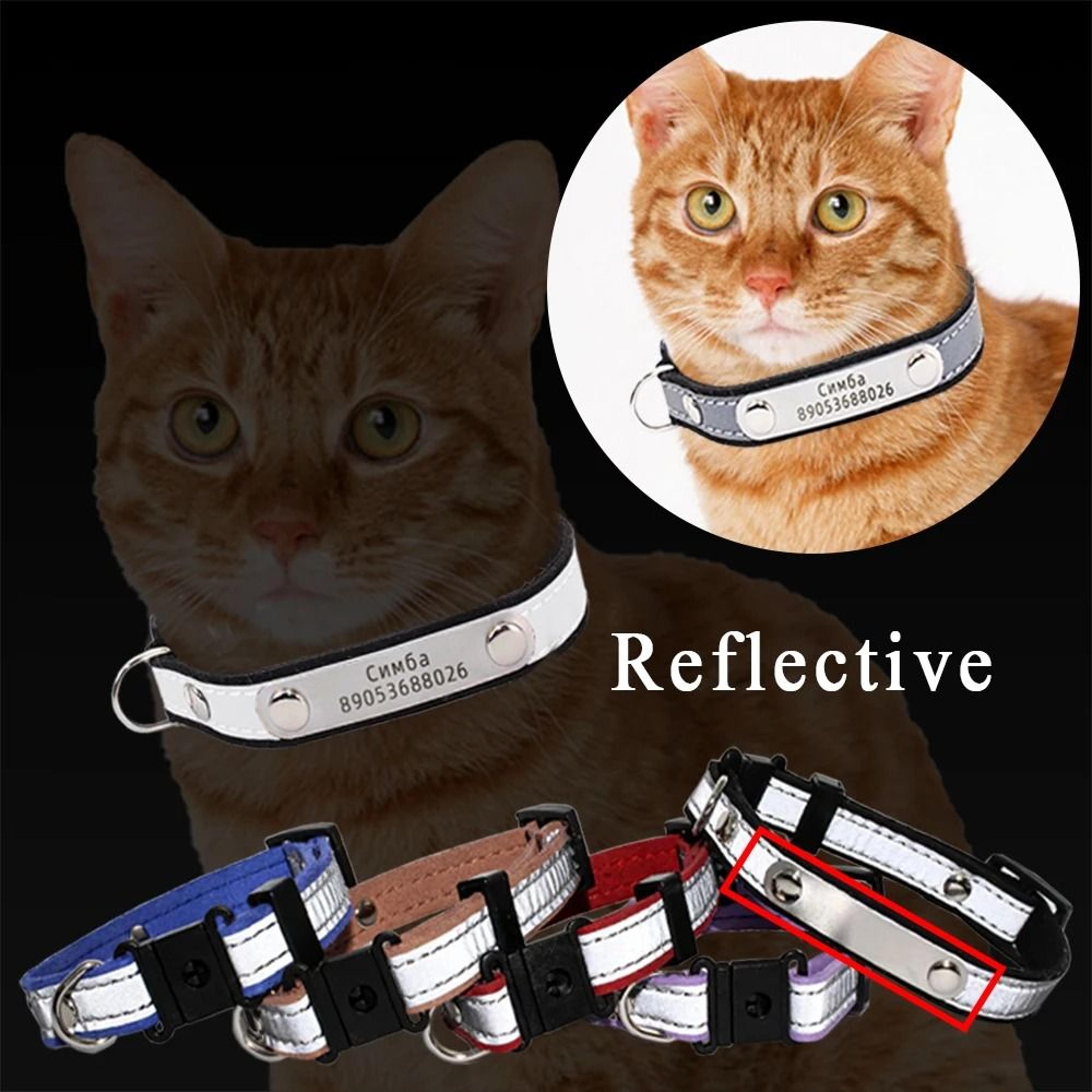 reflective personalized kitten id collar