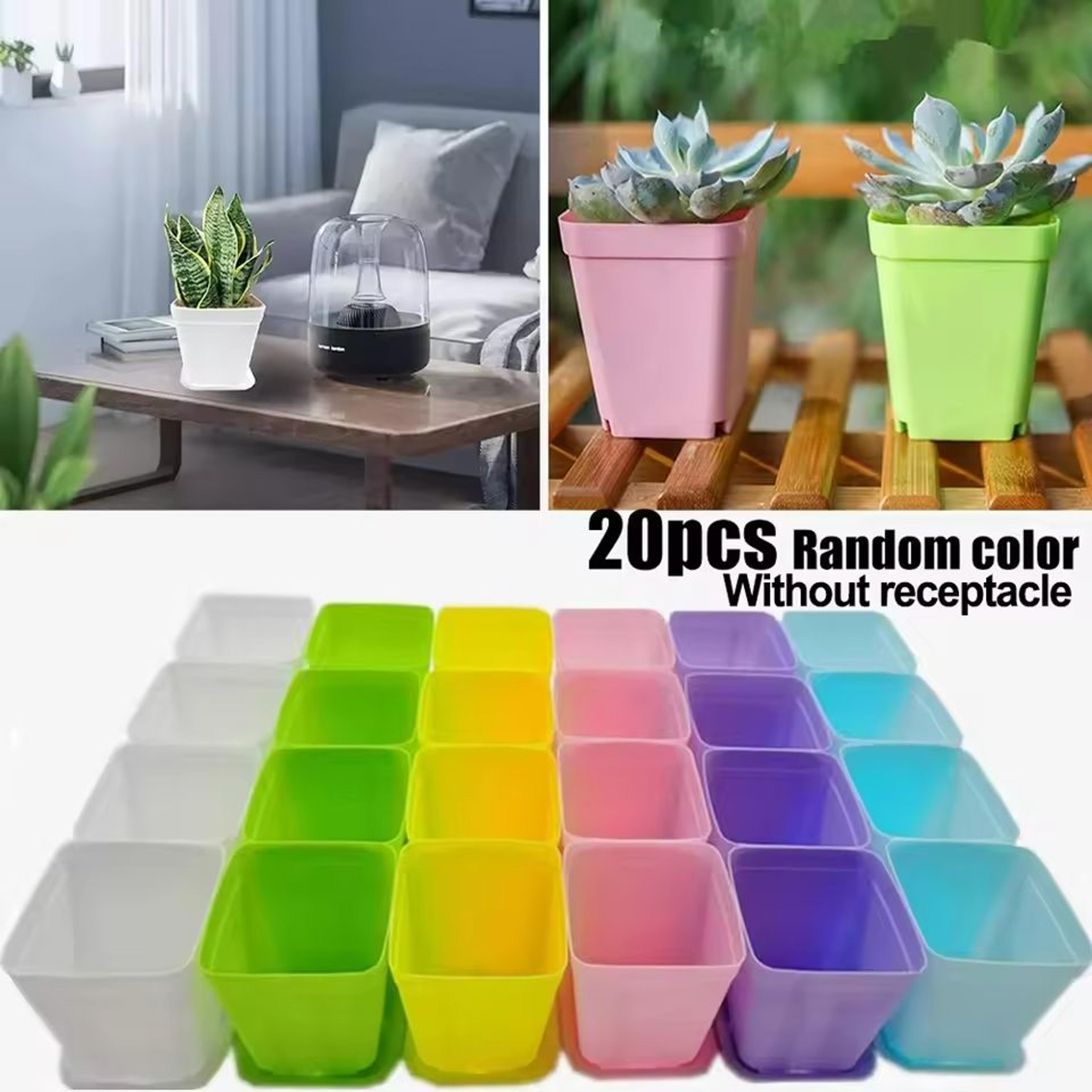 mini square succulent planter & tray set (20-piece pack)
