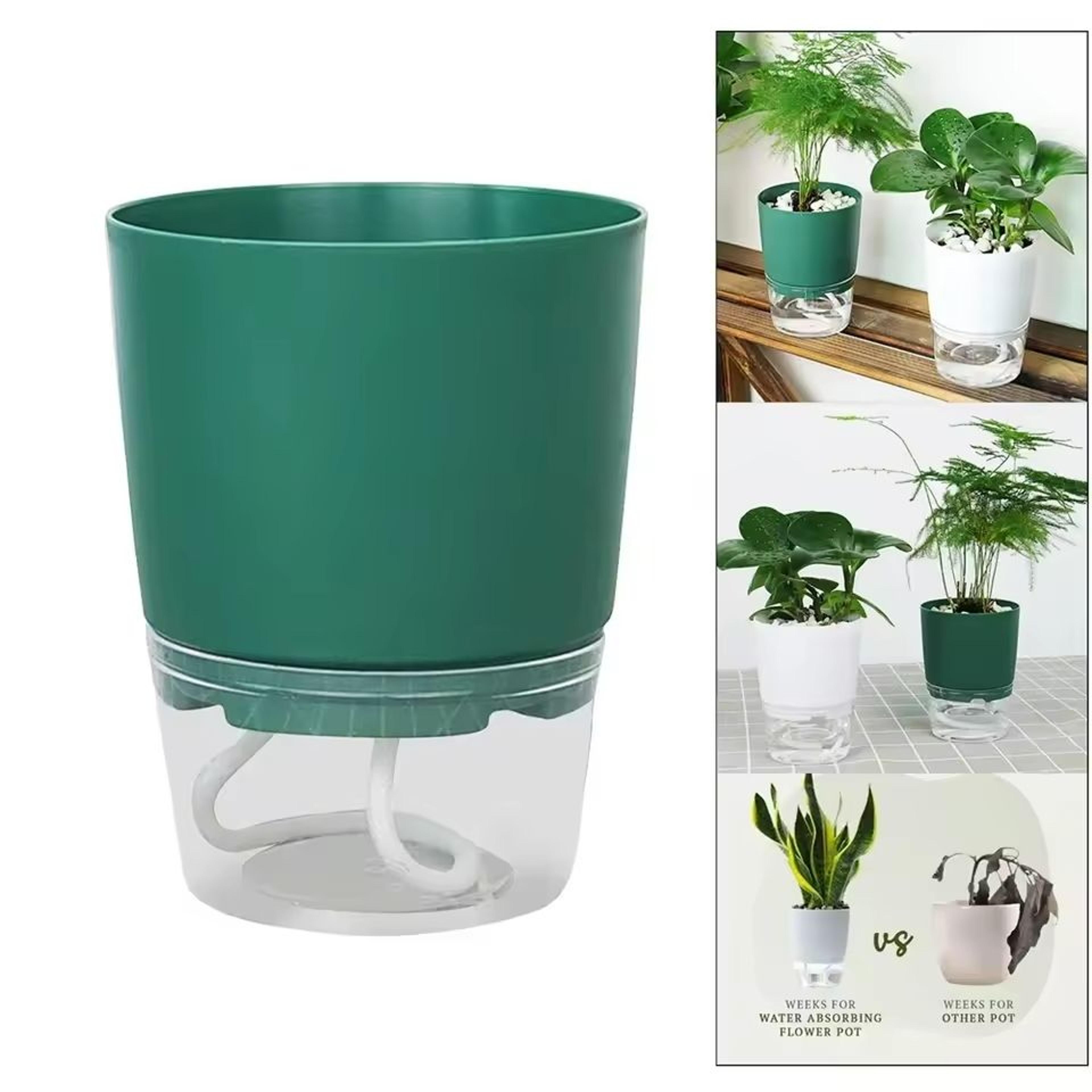 minimalist self-watering hydroponic planter
