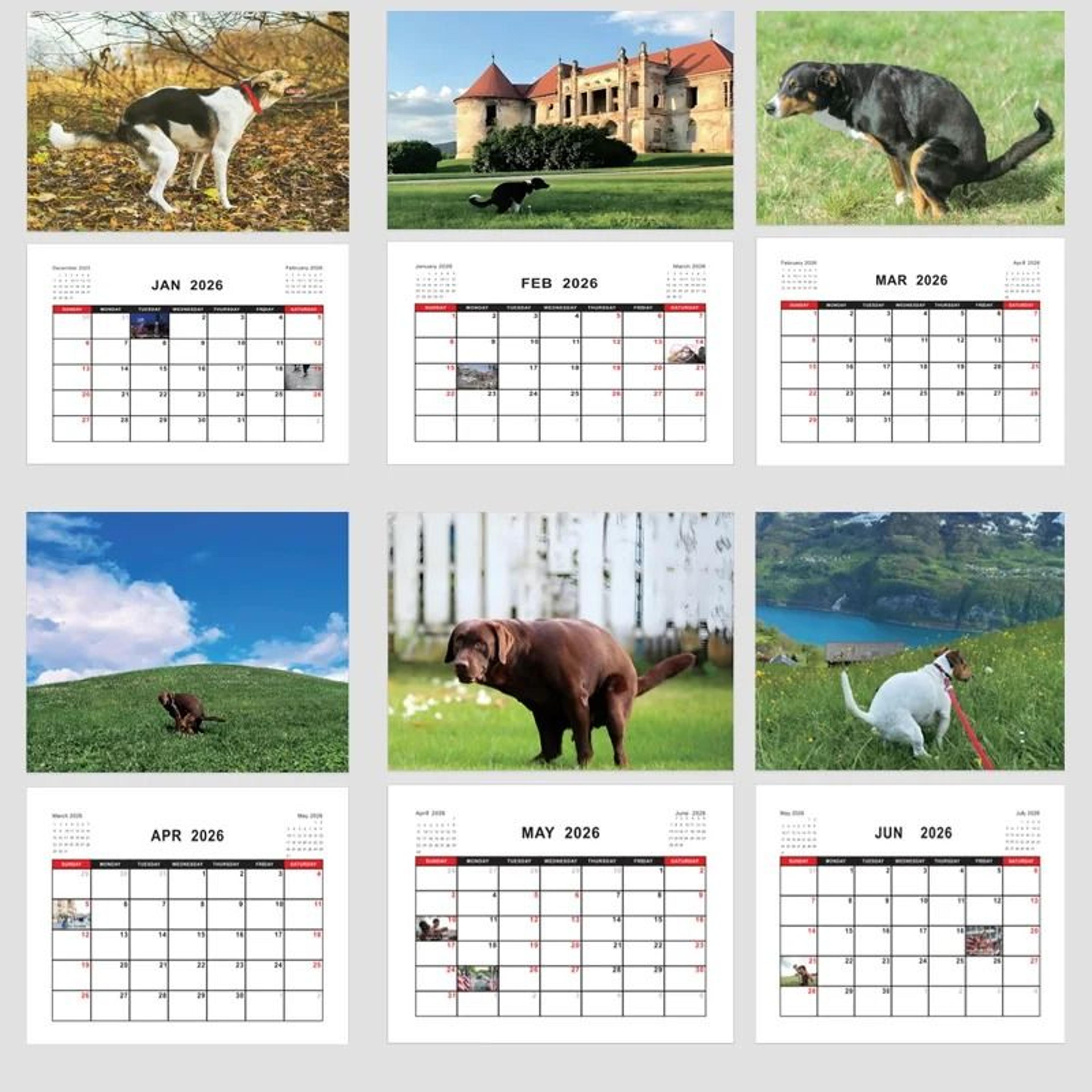 2026 pooping dogs monthly wall calendar & planner