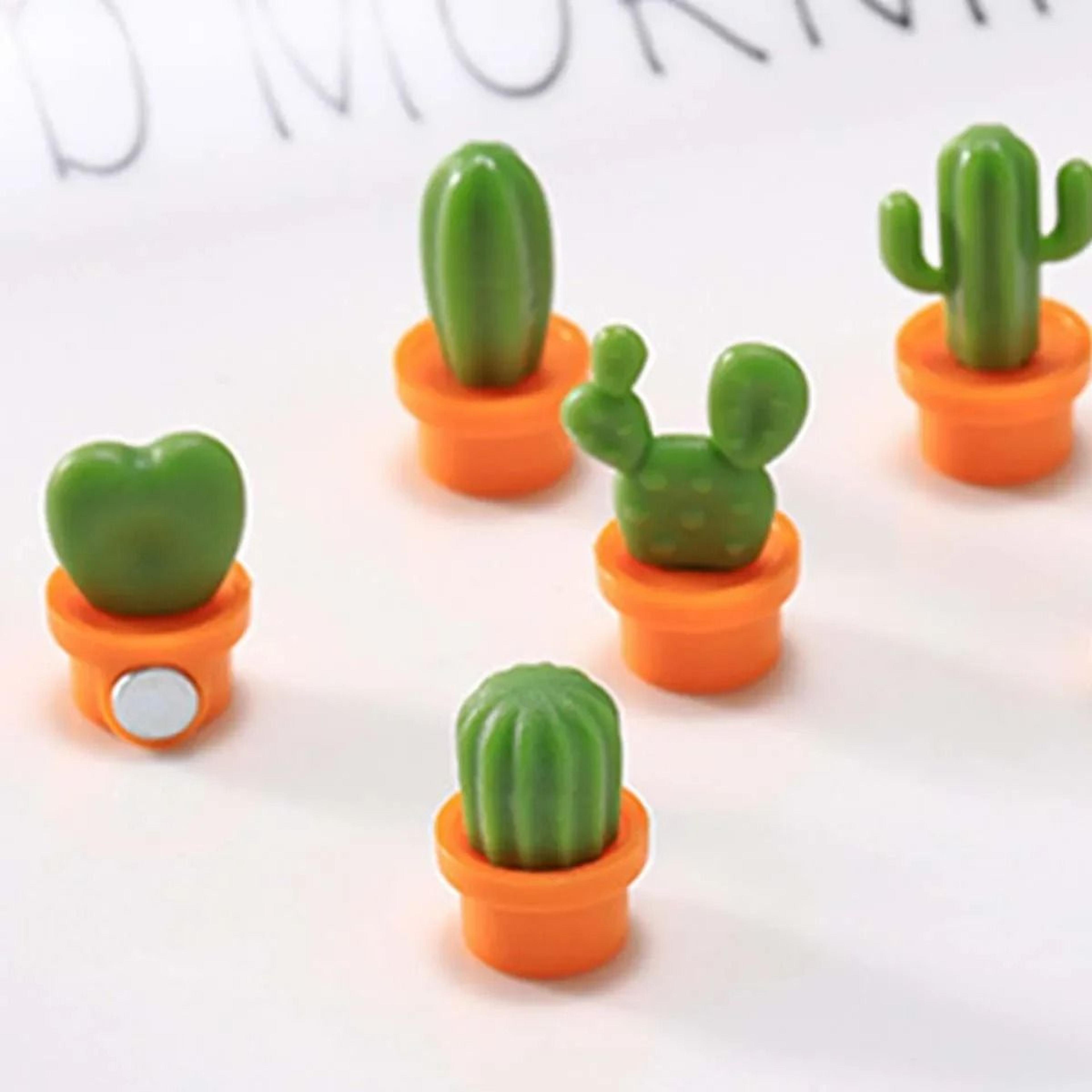 6-piece 3d cactus & potted succulent refrigerator magnets