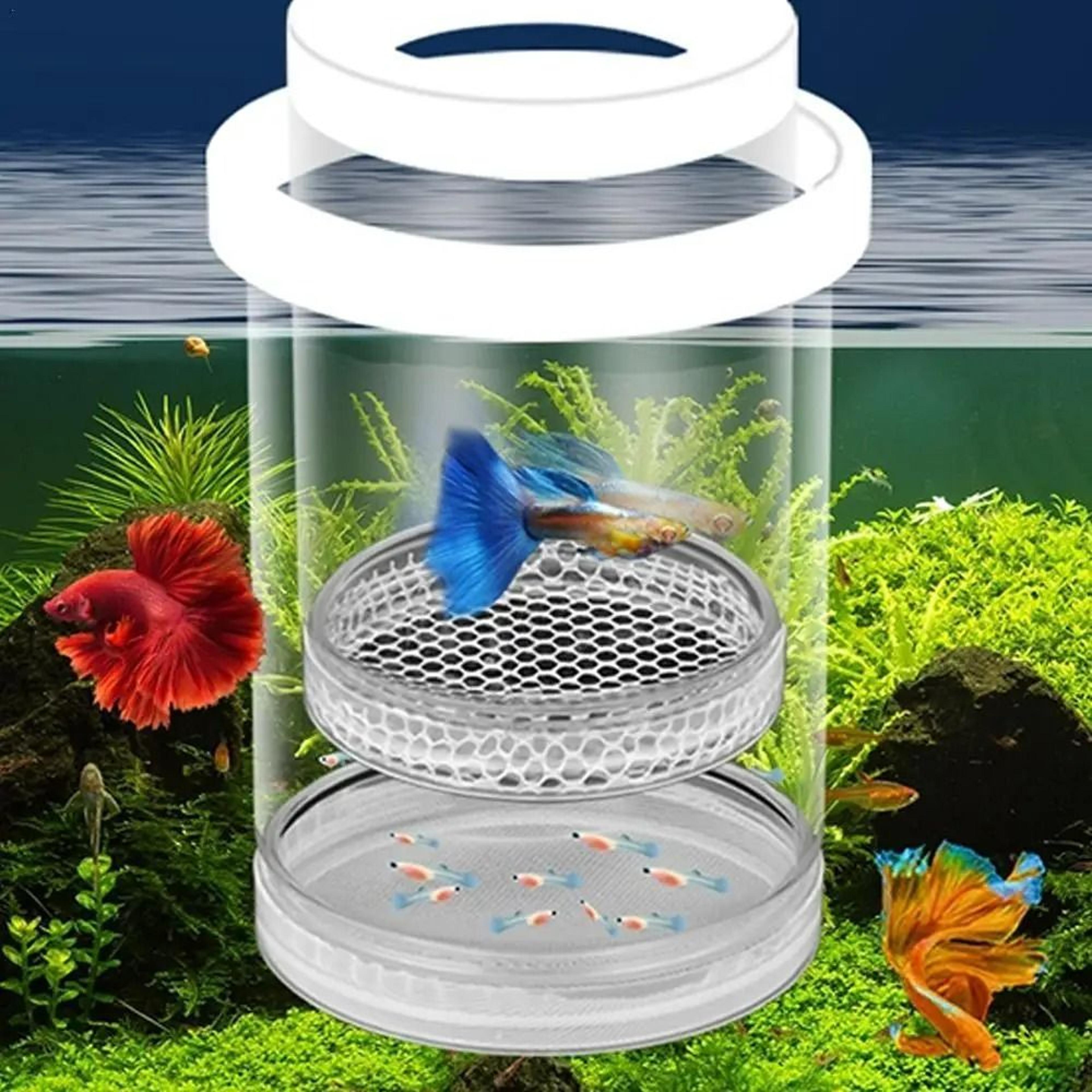 floating fish breeding isolation box & aquarium hatching incubator