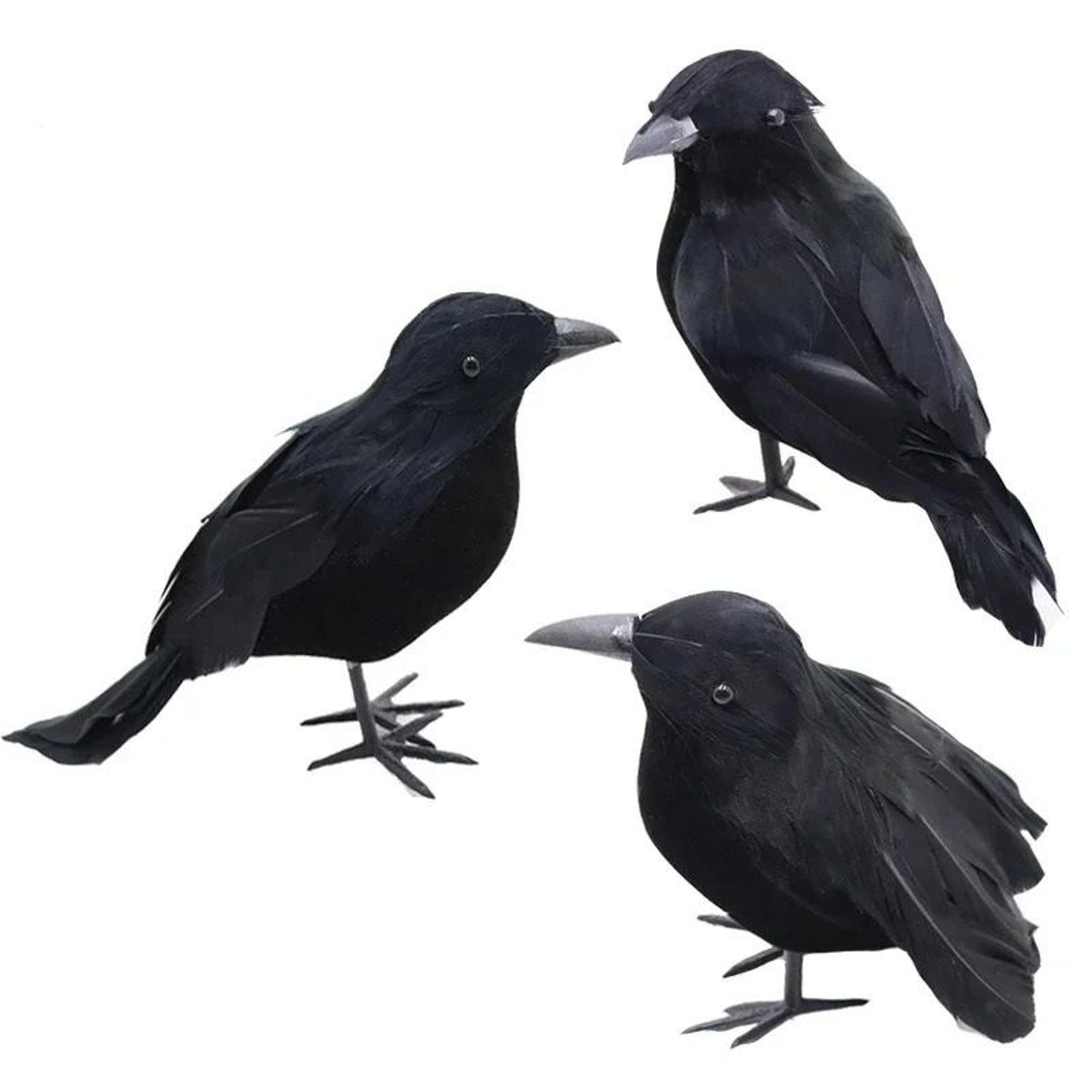 3pcs realistic artificial crow & raven set for halloween decor