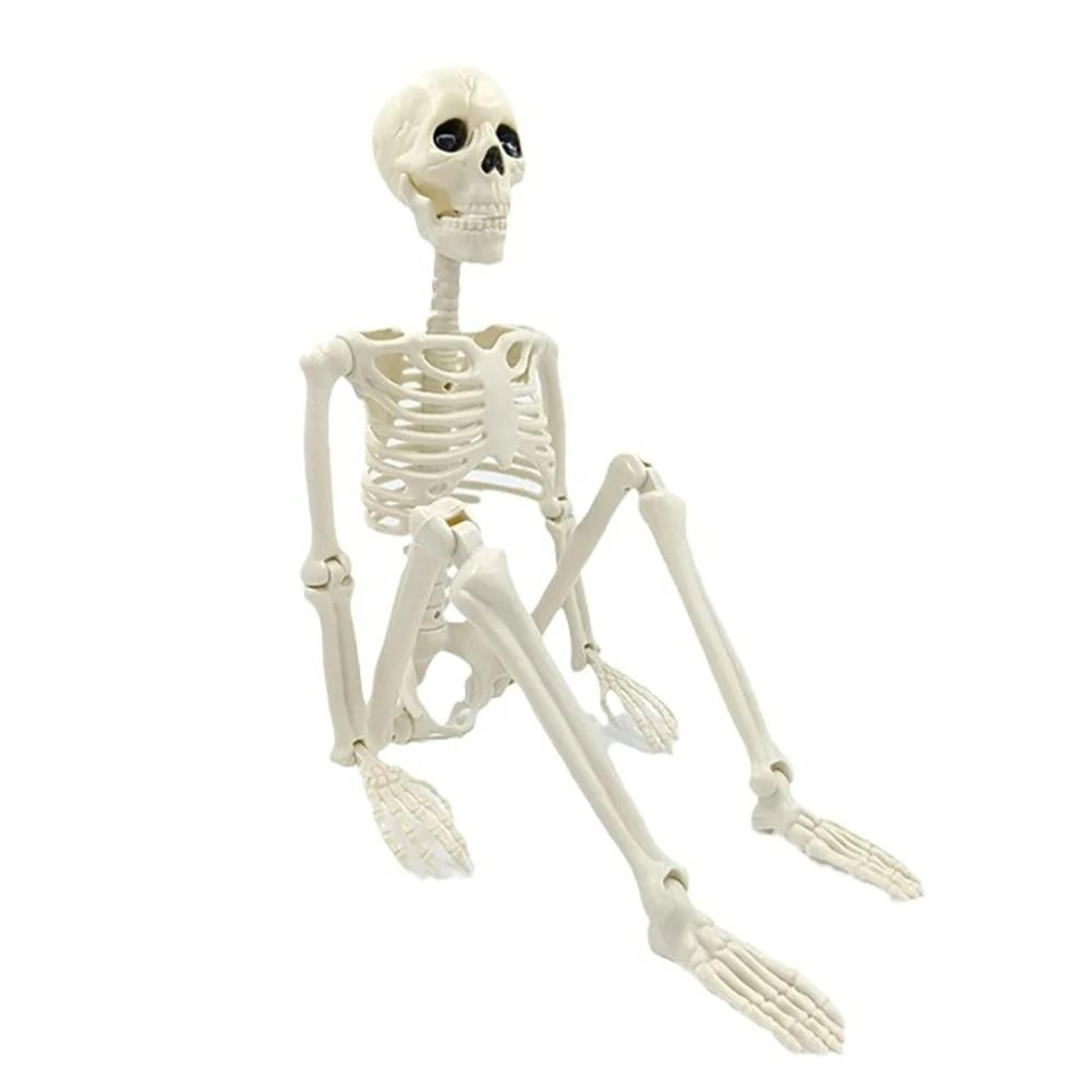 full body posable halloween skeleton prop