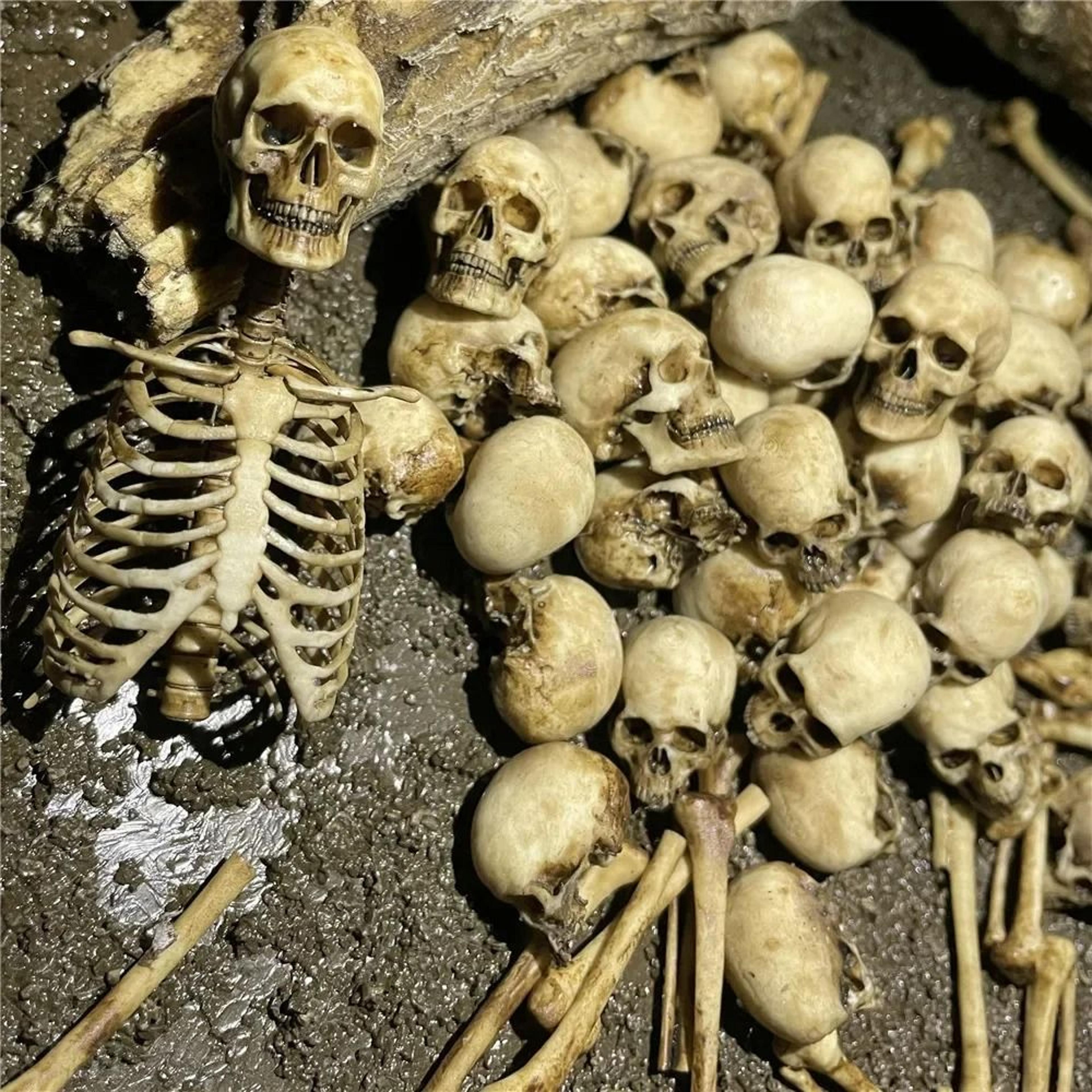 high quality 1 12 miniature skeleton skull model