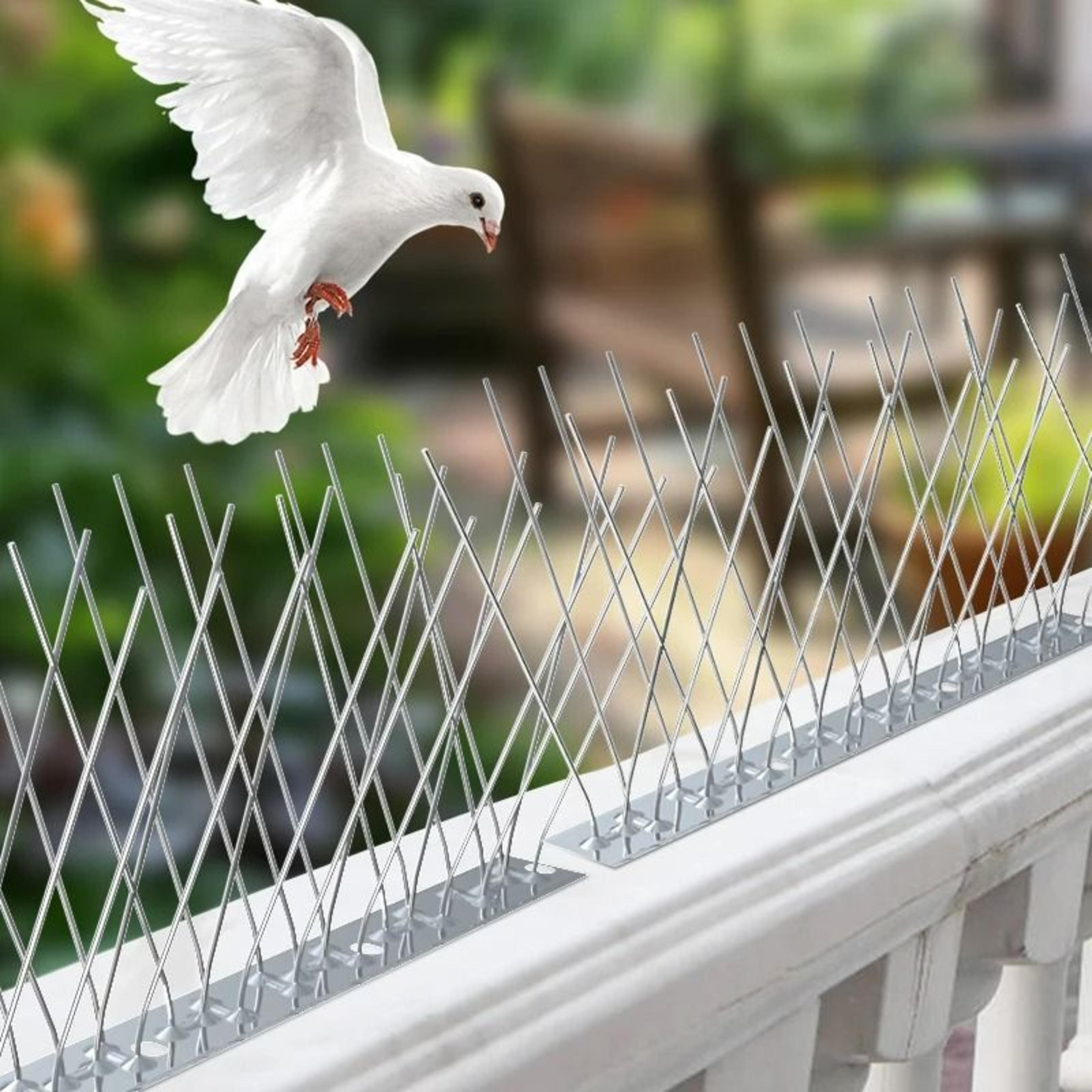 anti-pigeon bird repeller spikes strip set