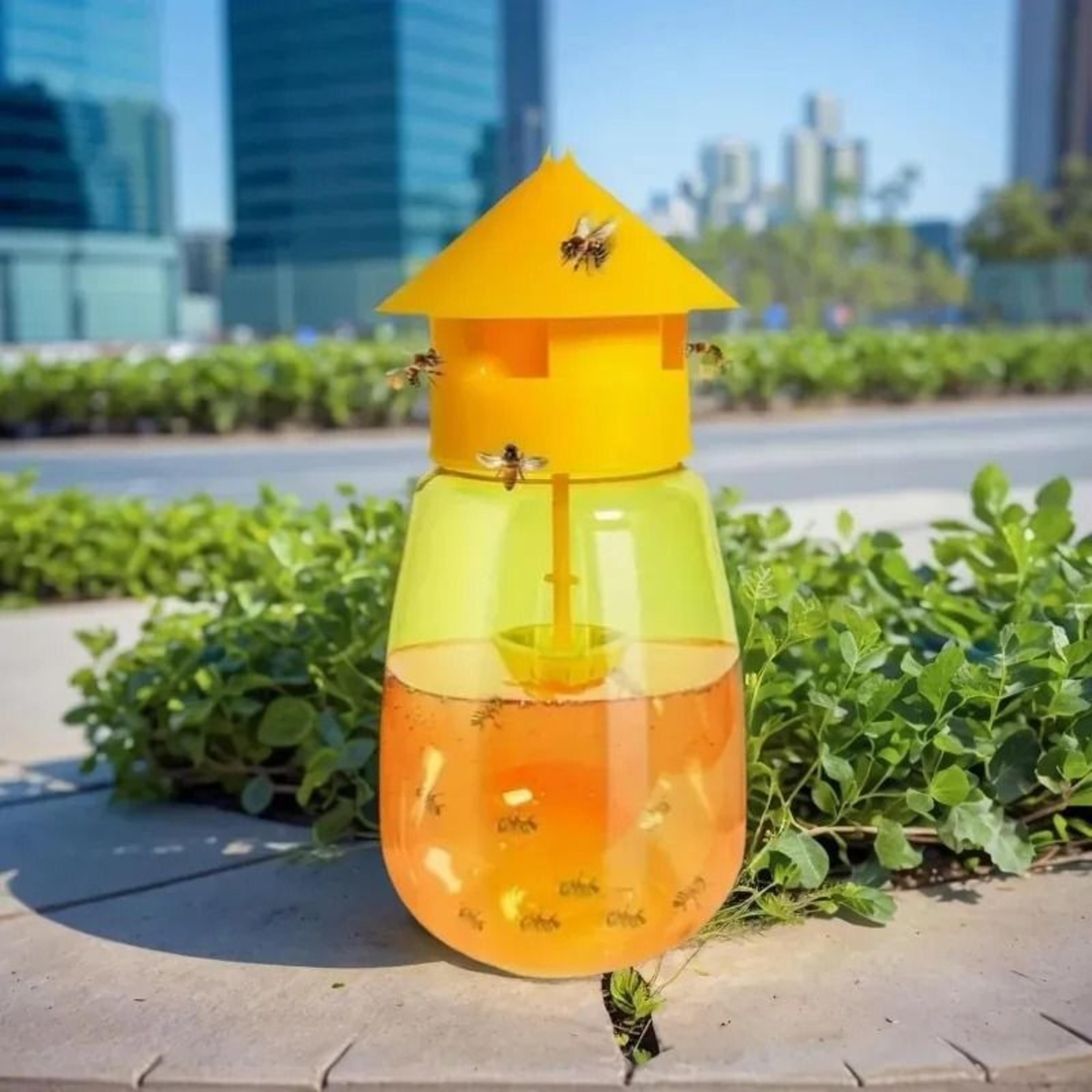 liquid fruit fly trap & attractant refill kit