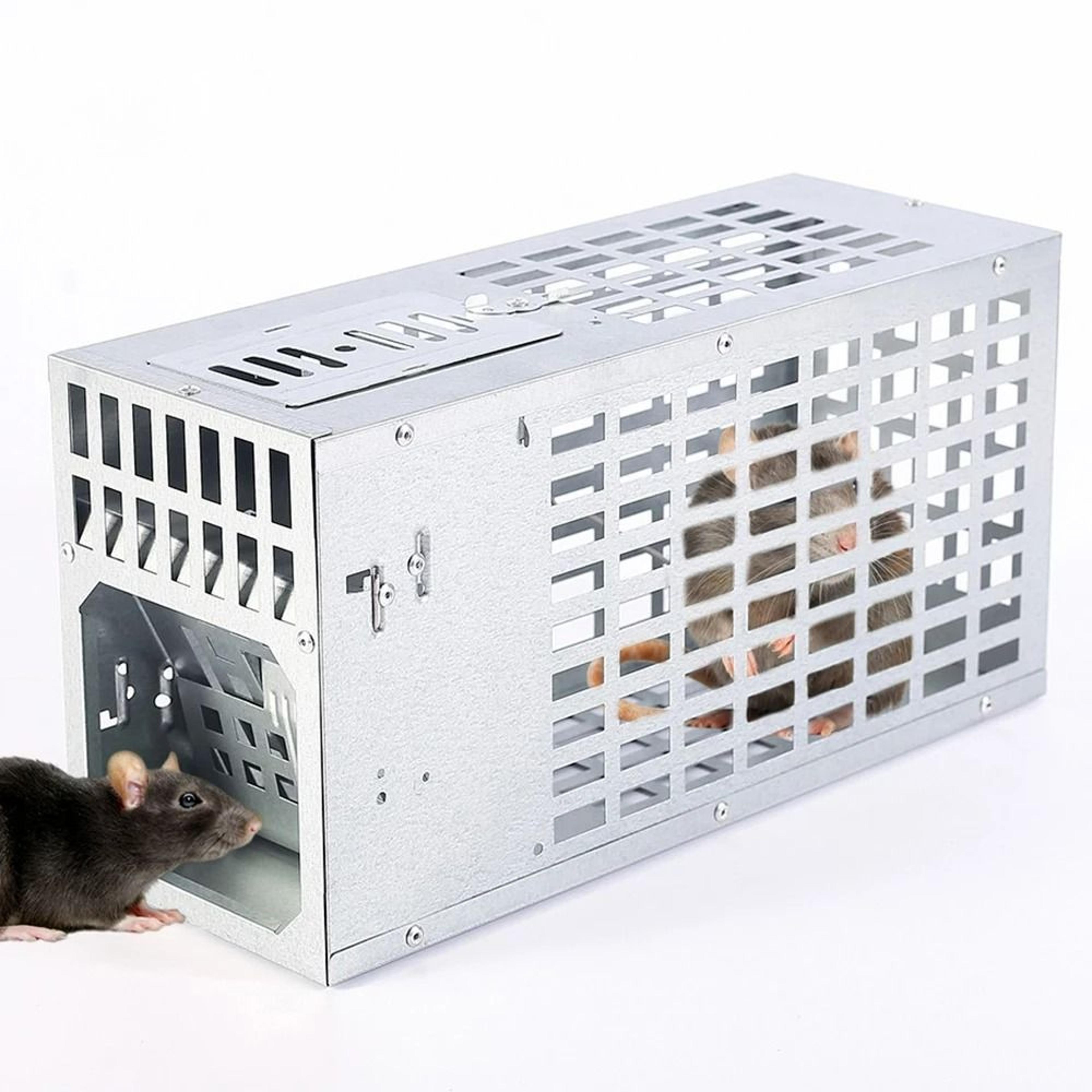 multi-catch galvanized steel mouse & rat trap cage