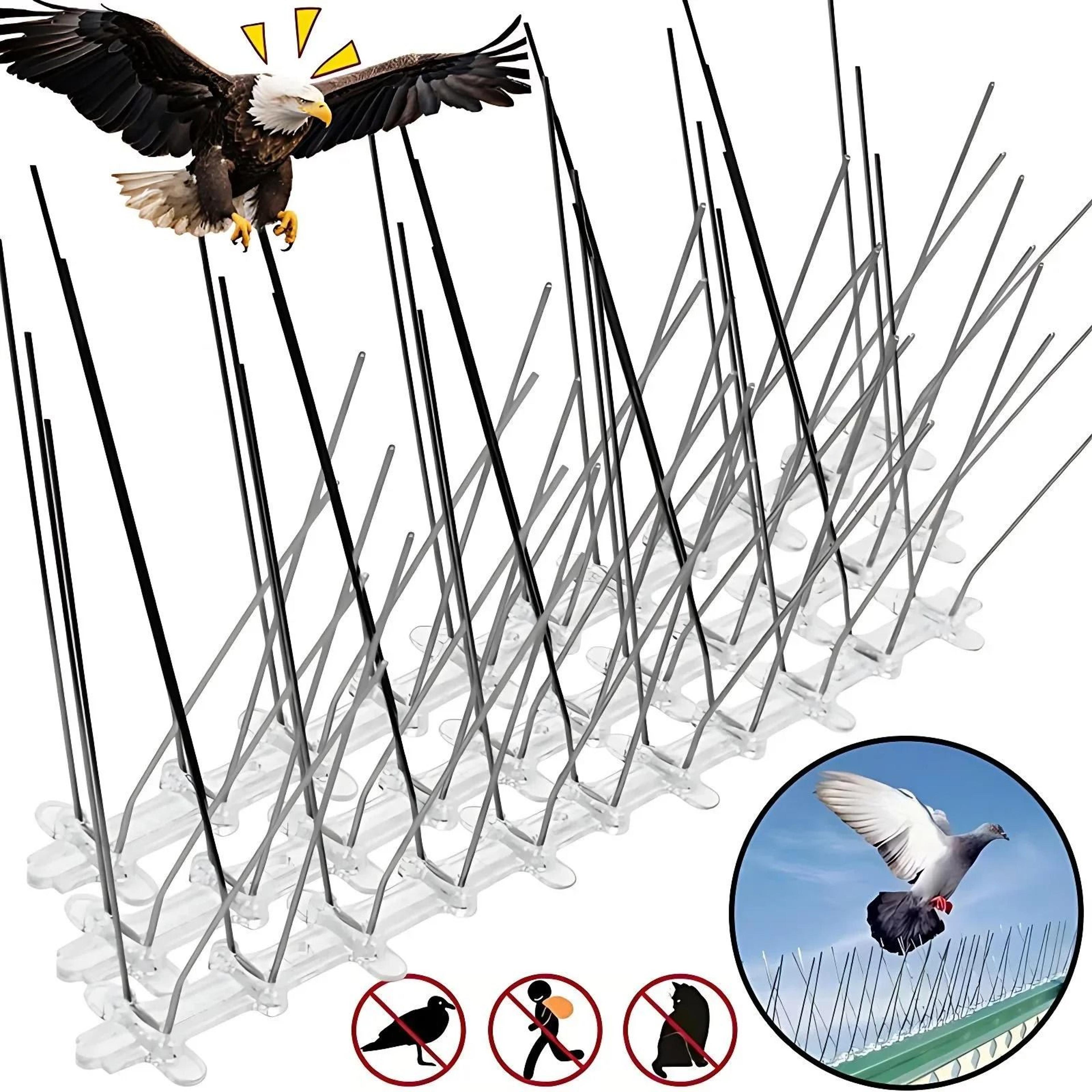 stainless steel anti-pigeon bird deterrent spikes
