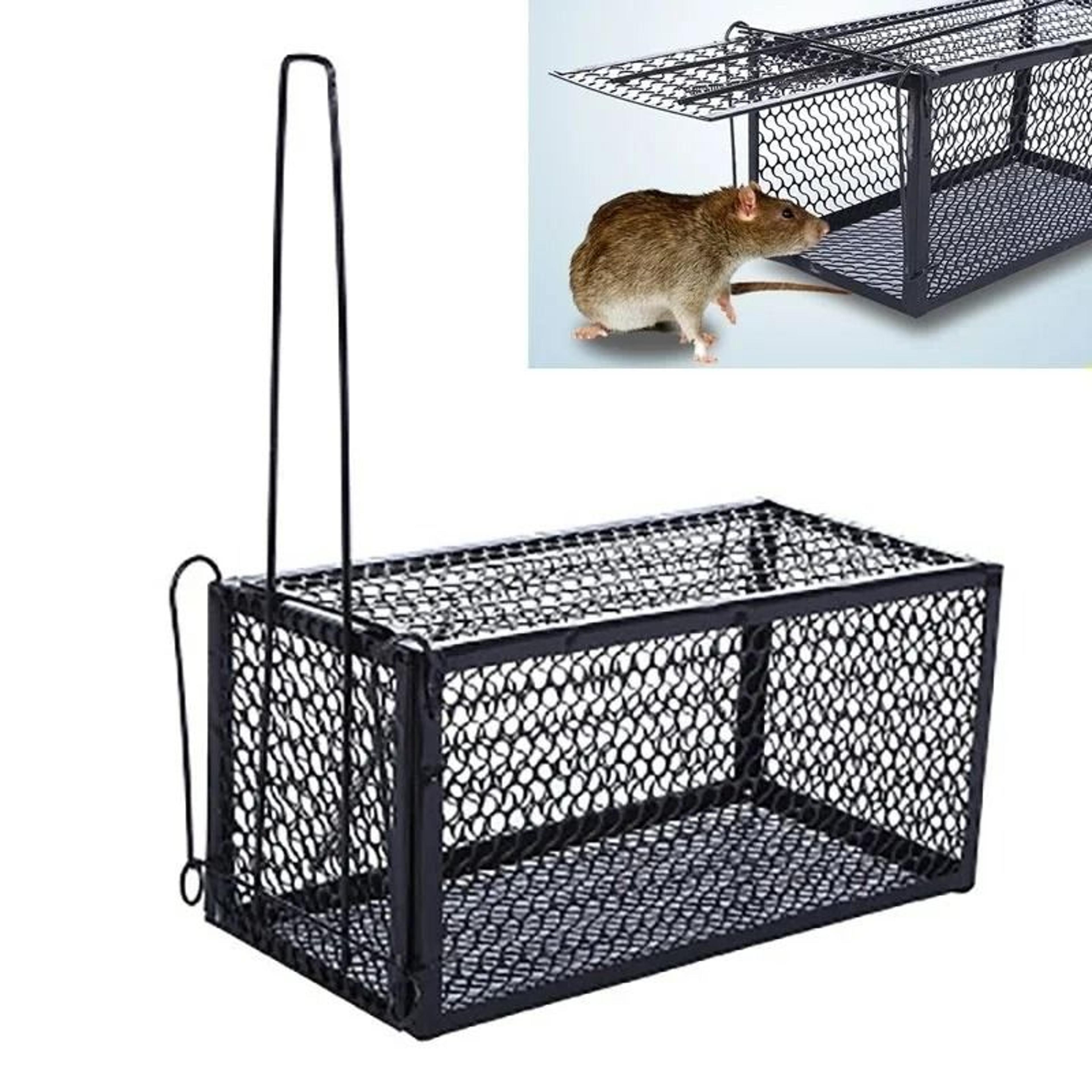 smart self-locking metal rat trap cage