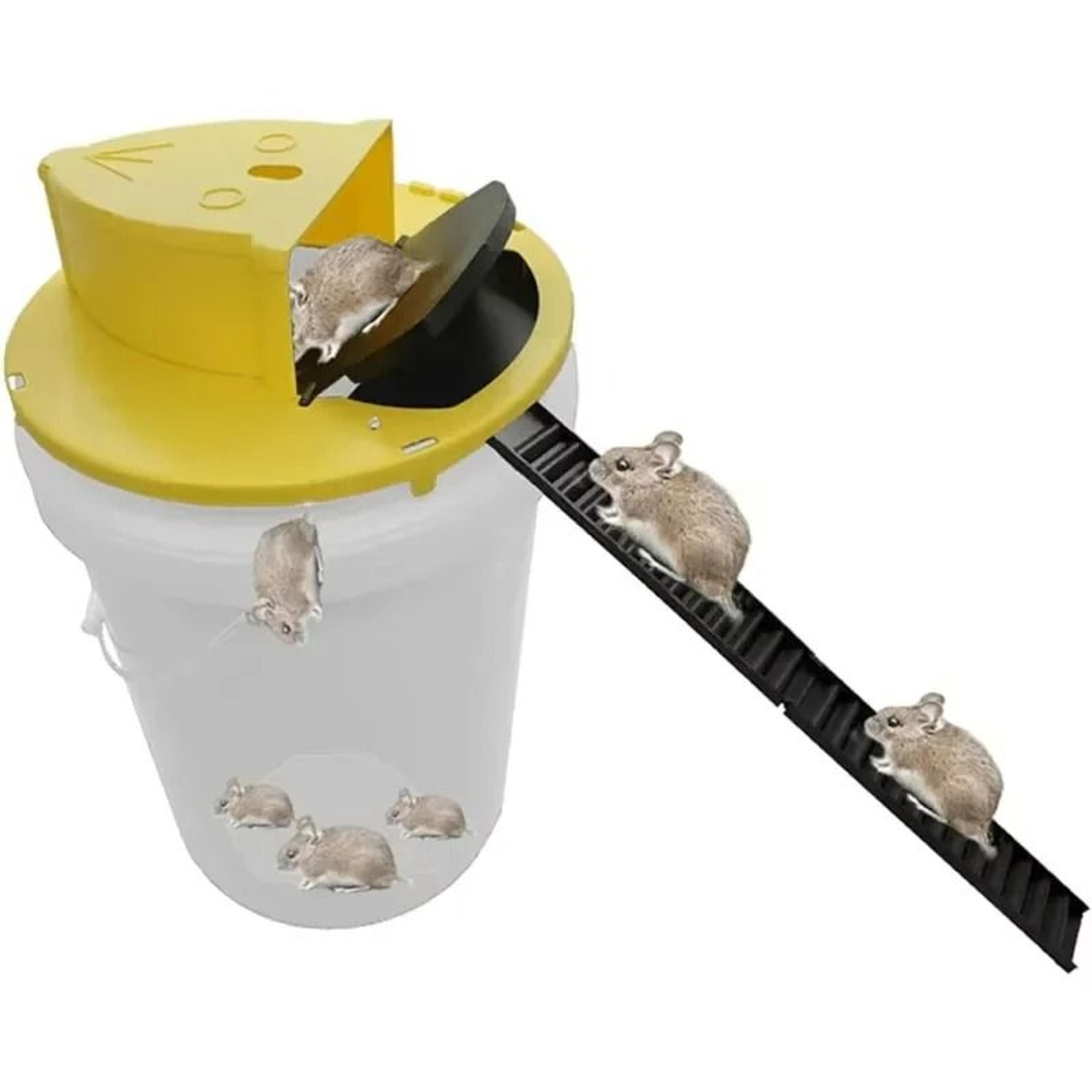 automatic reset flip & slide bucket lid mouse trap
