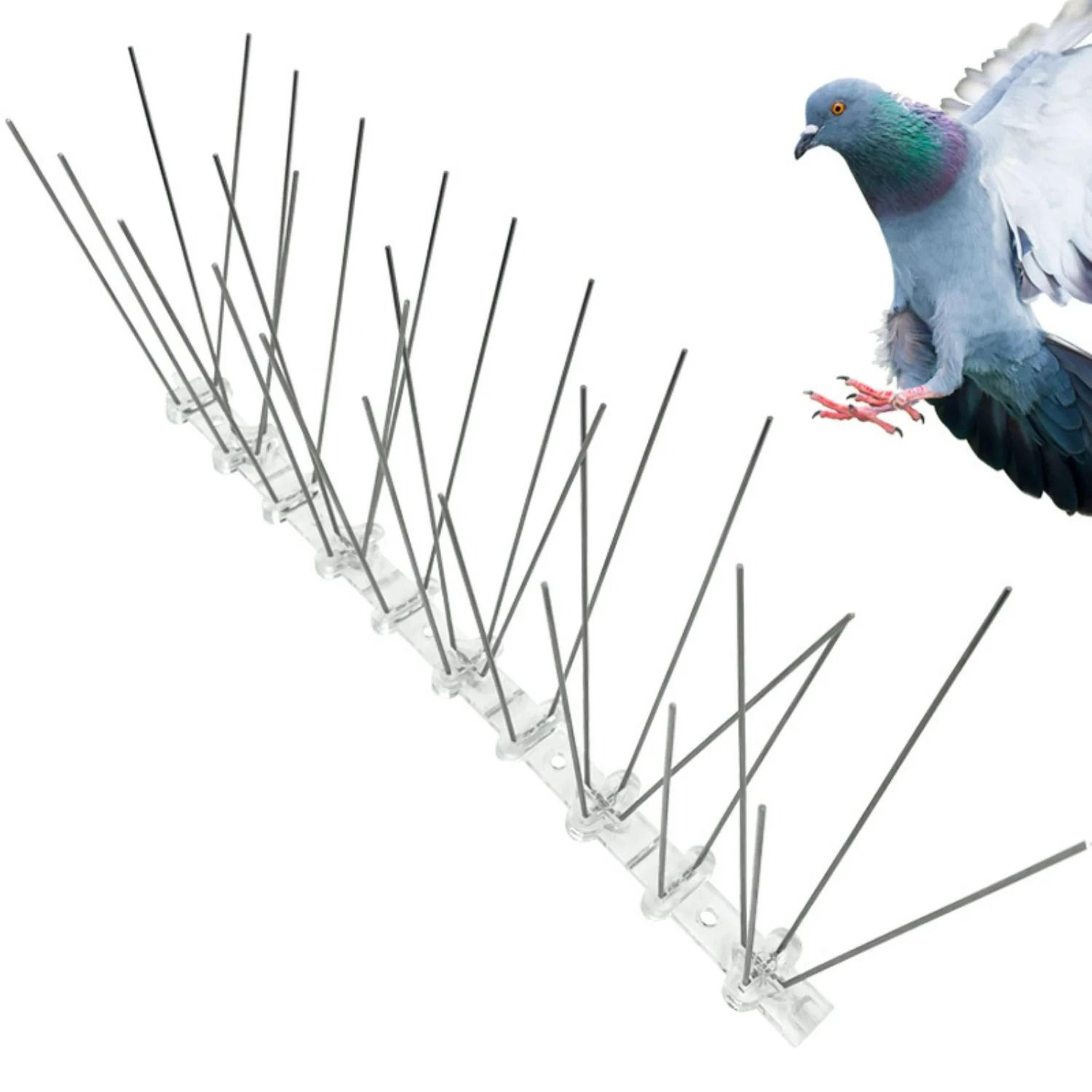 10-pack stainless steel anti-pigeon bird deterrent spikes