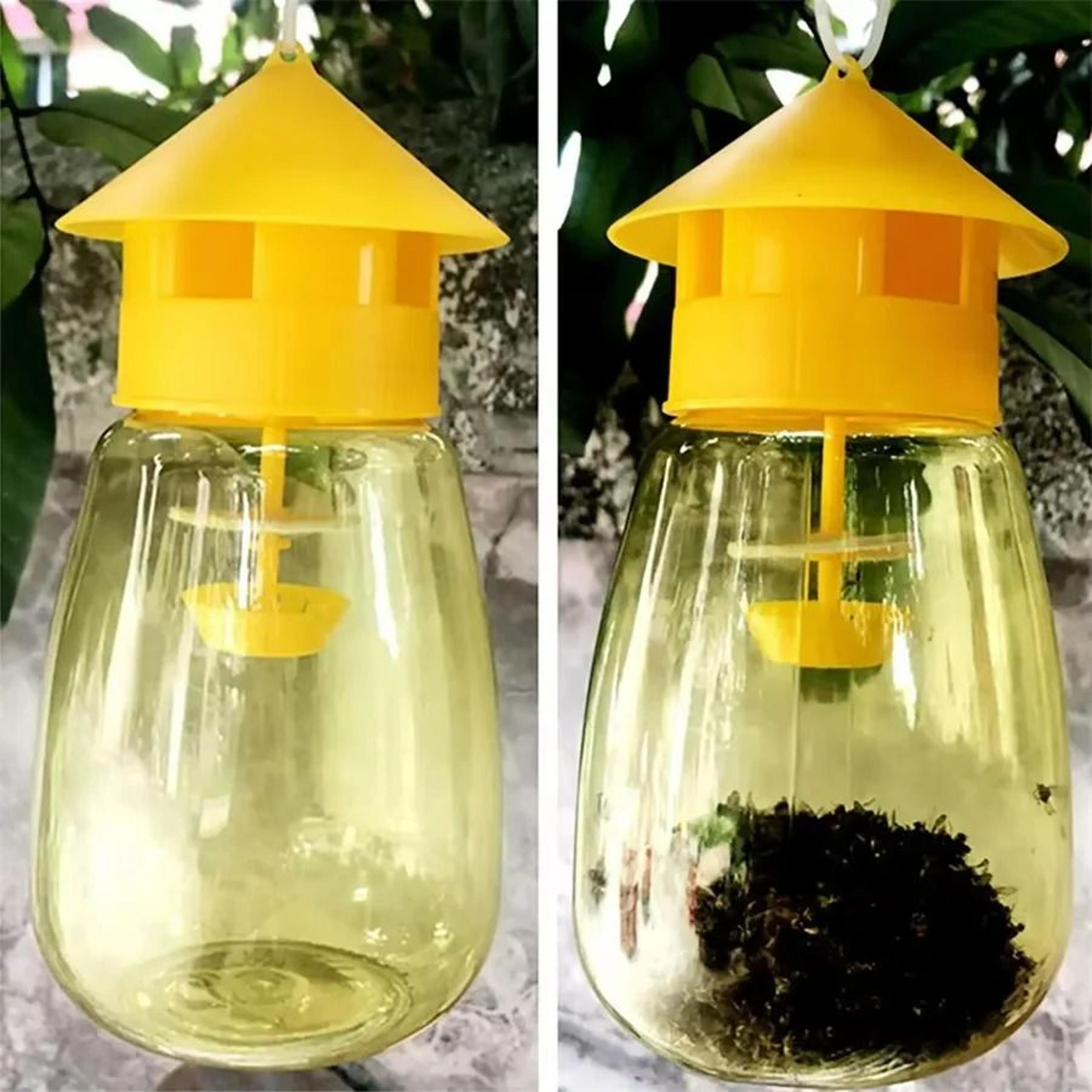 plastic outdoor fruit fly & bee trap catcher
