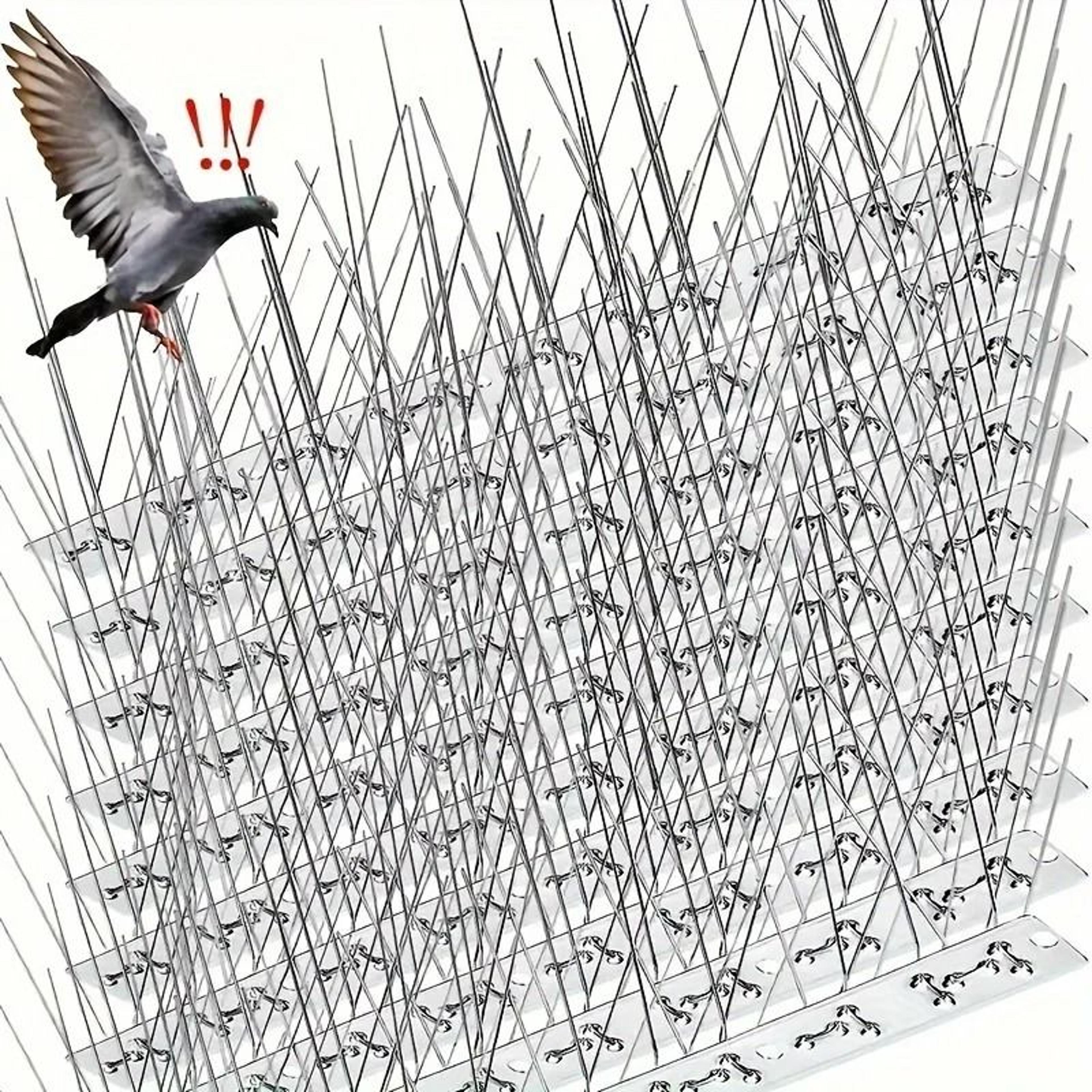 stainless steel anti-pigeon & bird deterrent spikes
