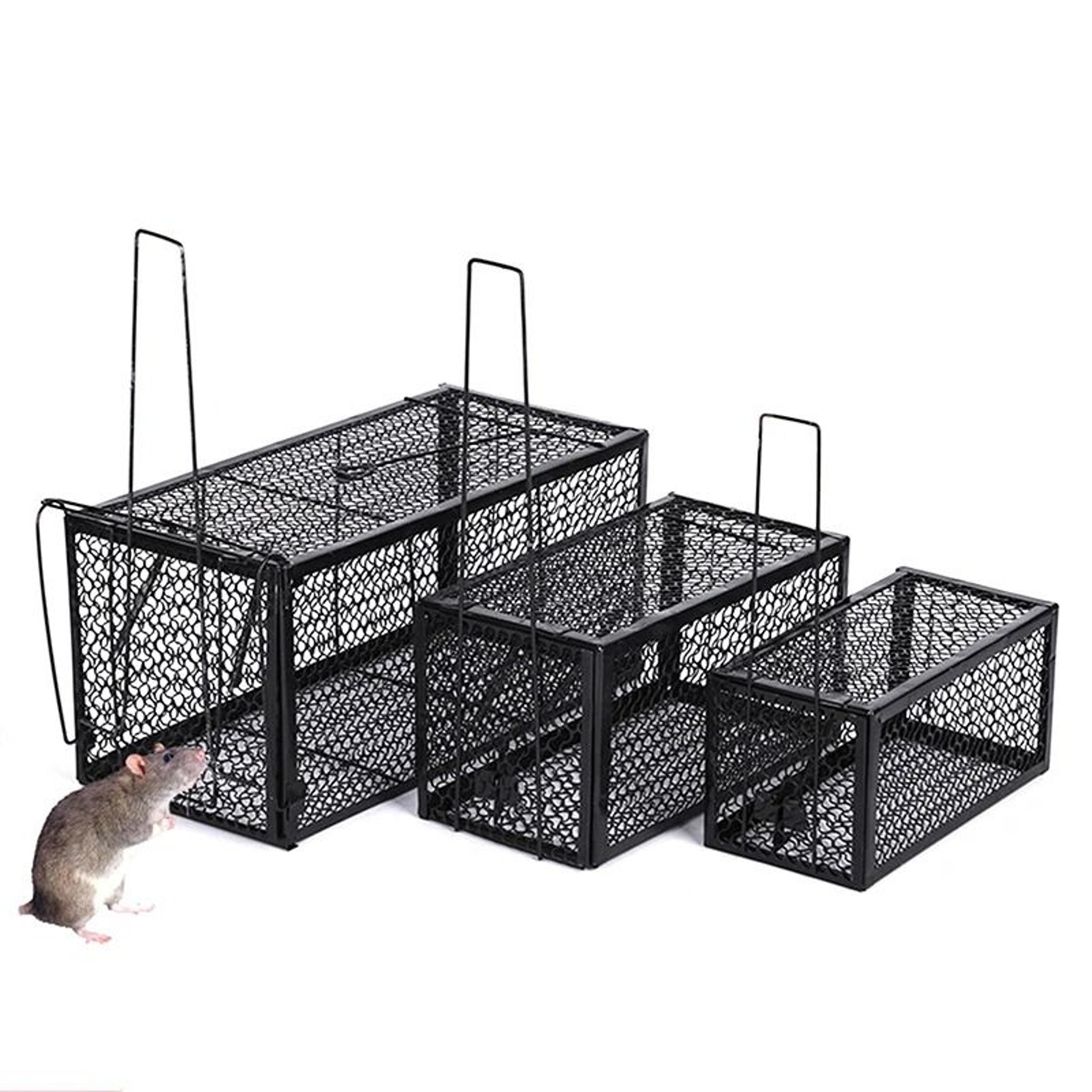 humane smart self-locking metal rat trap cage