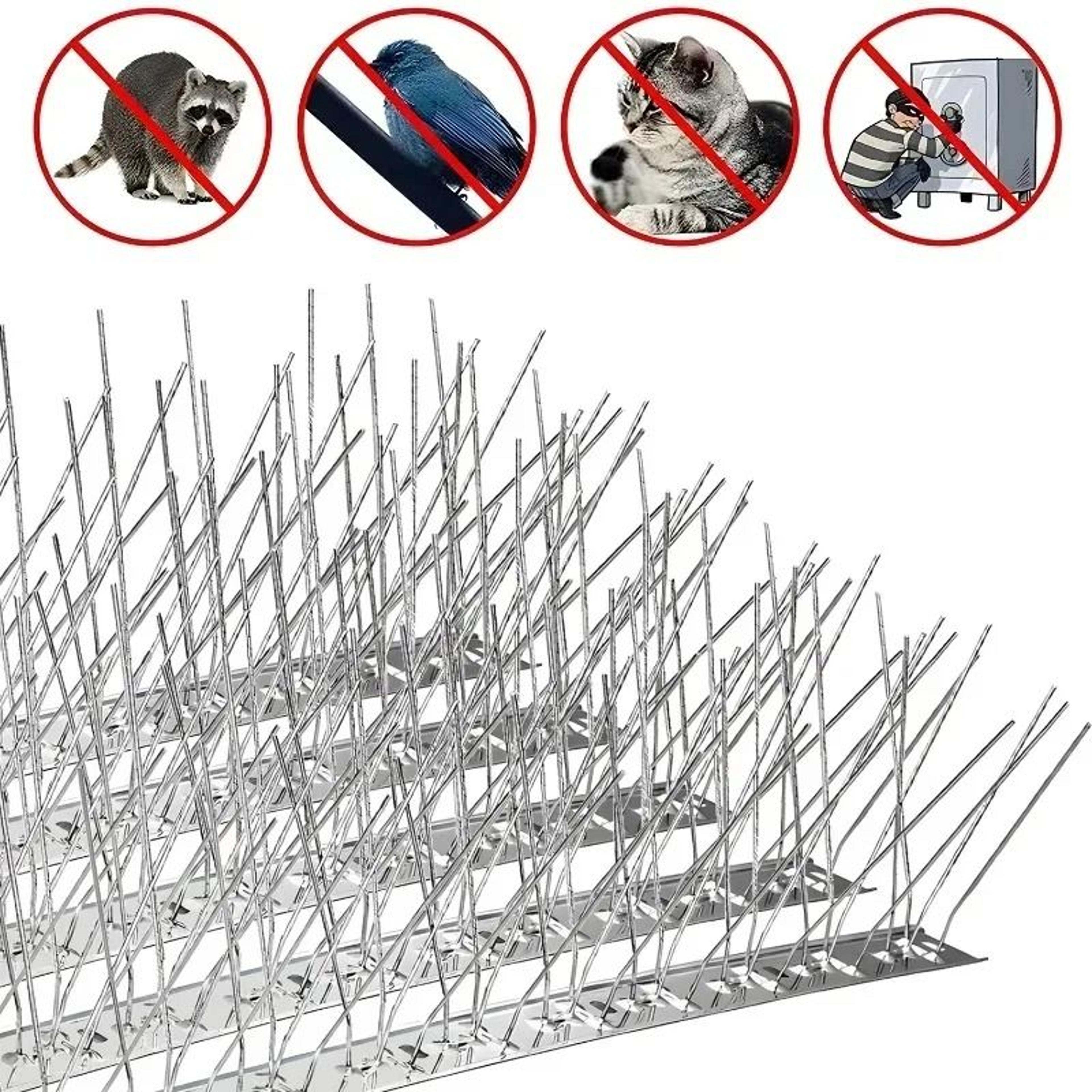 elite stainless steel anti-pigeon & bird deterrent spikes