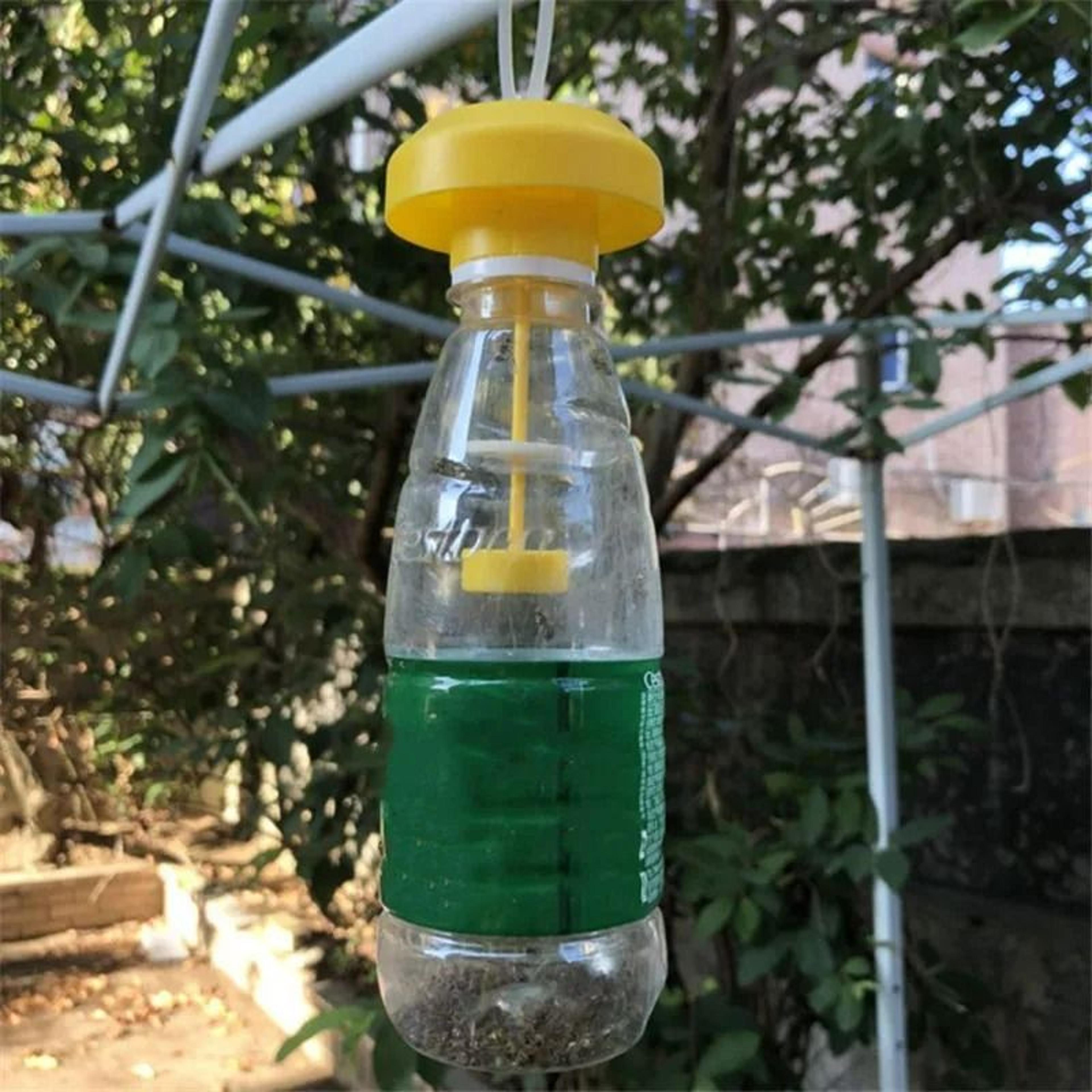 yellow plastic fruit fly trap catcher for home & orchard