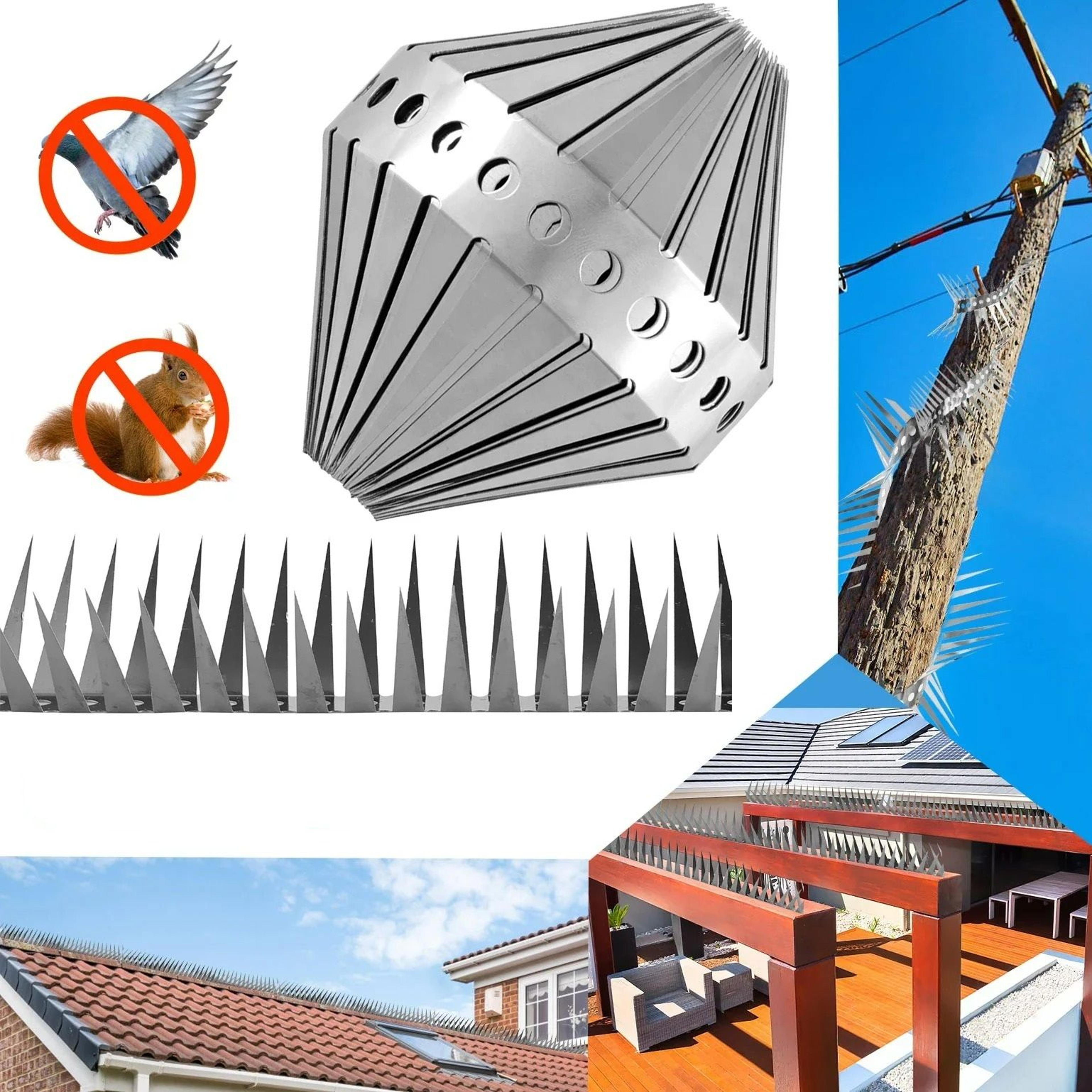 stainless steel pigeon & bird spike deterrent set