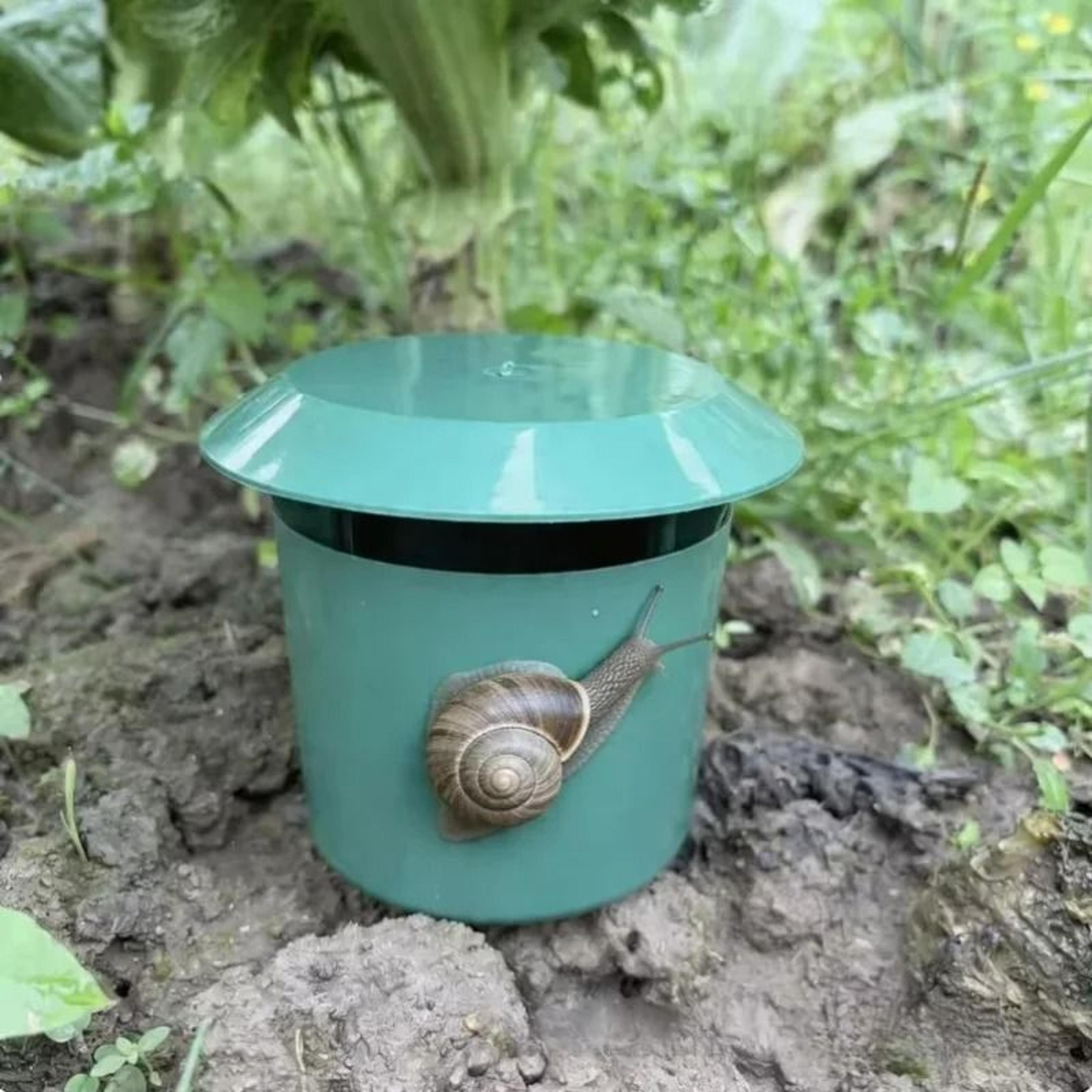 plastic garden snail & slug trap catcher