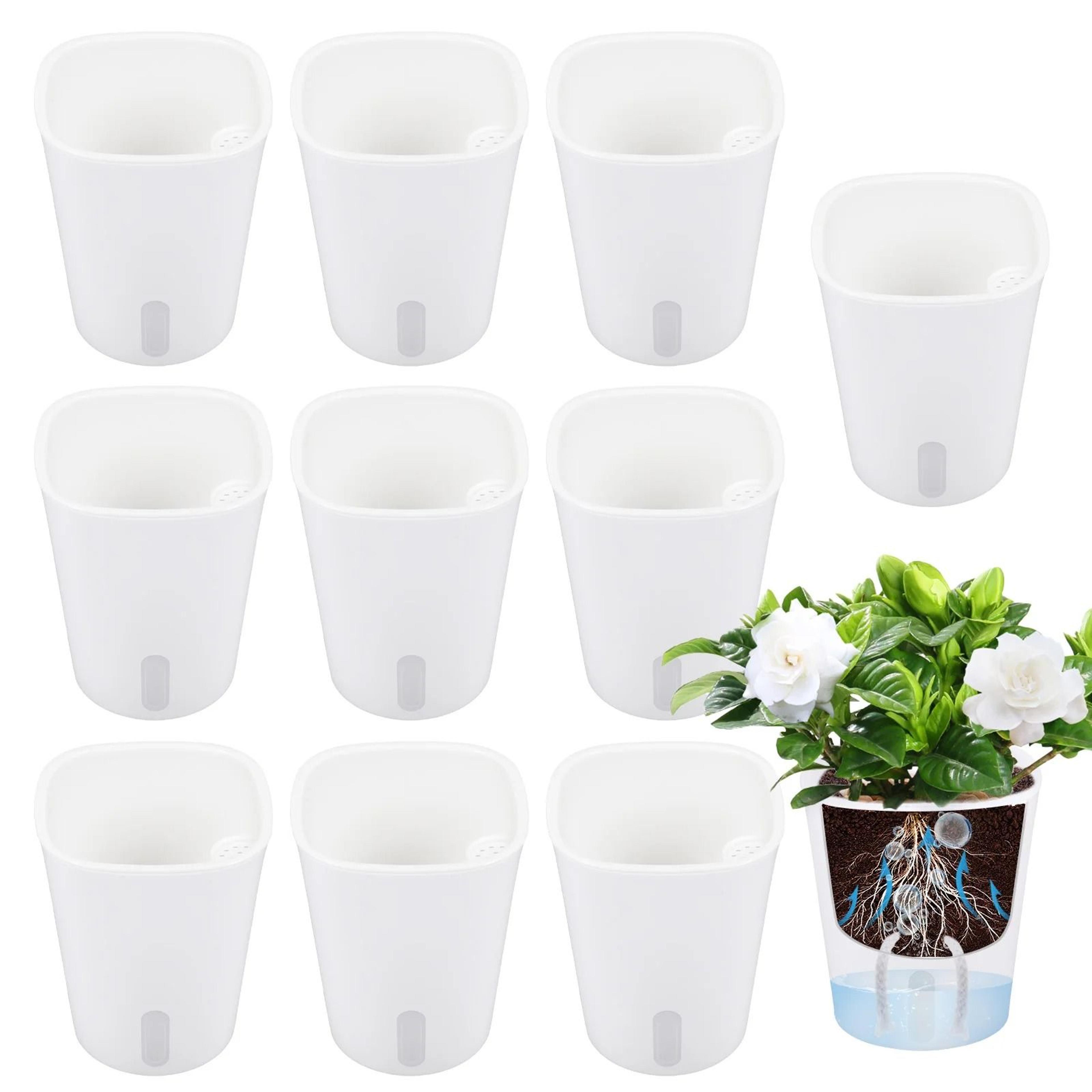 10-piece self-watering hydroponic planter set