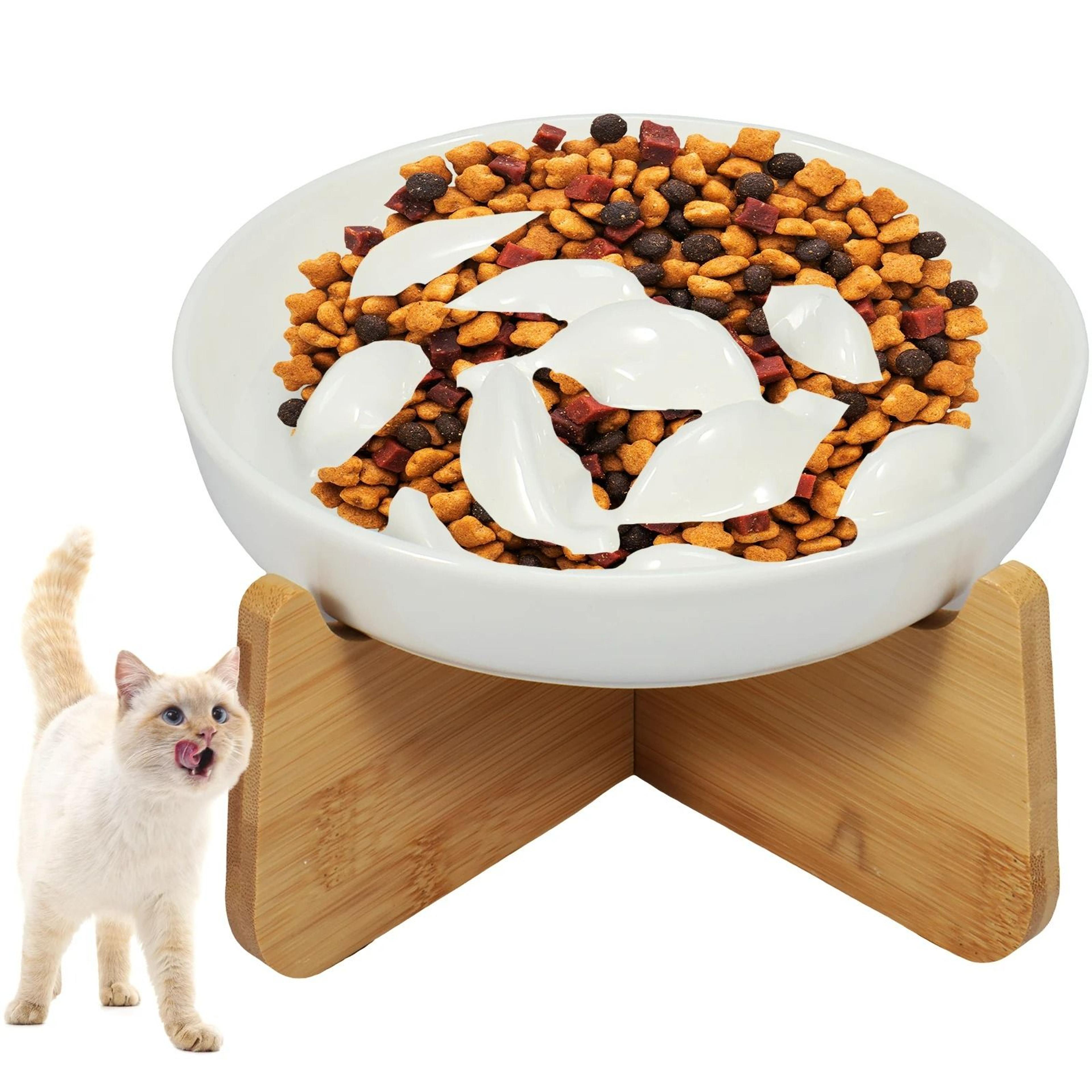 elevated ceramic cat slow feeder bowl with wood stand