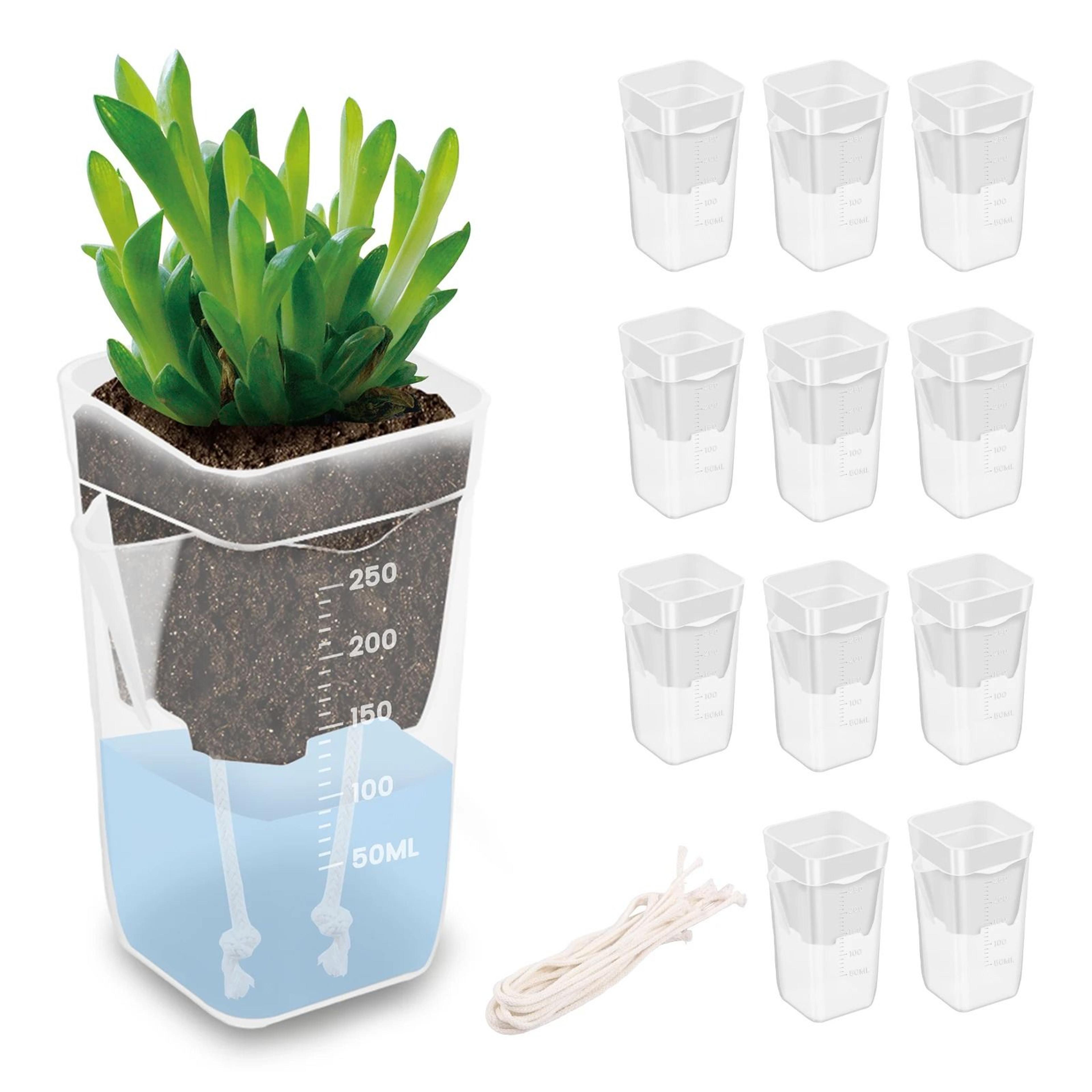 12-piece self-watering transparent plant pot set with drainage & cotton rope