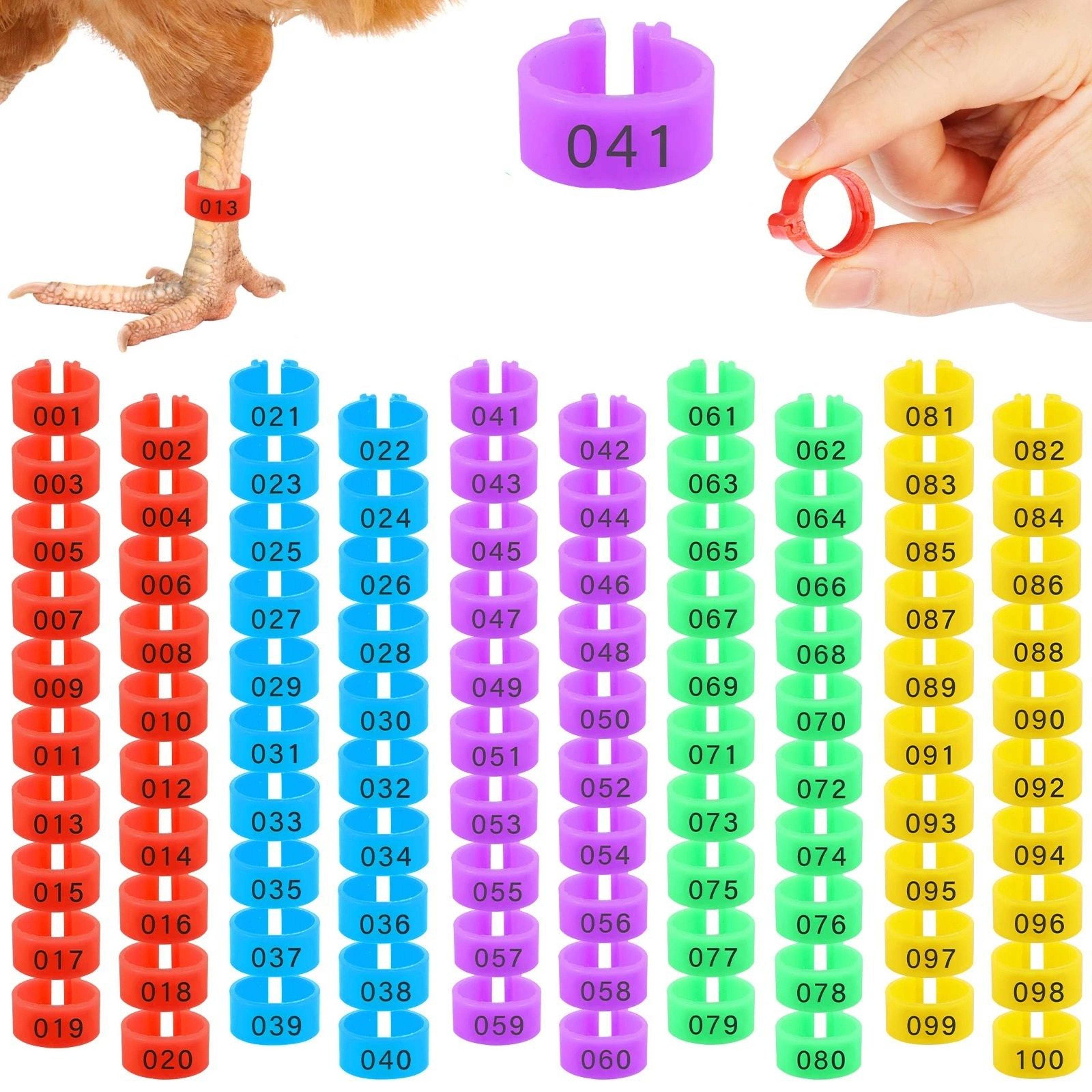 100-piece numbered poultry leg rings set