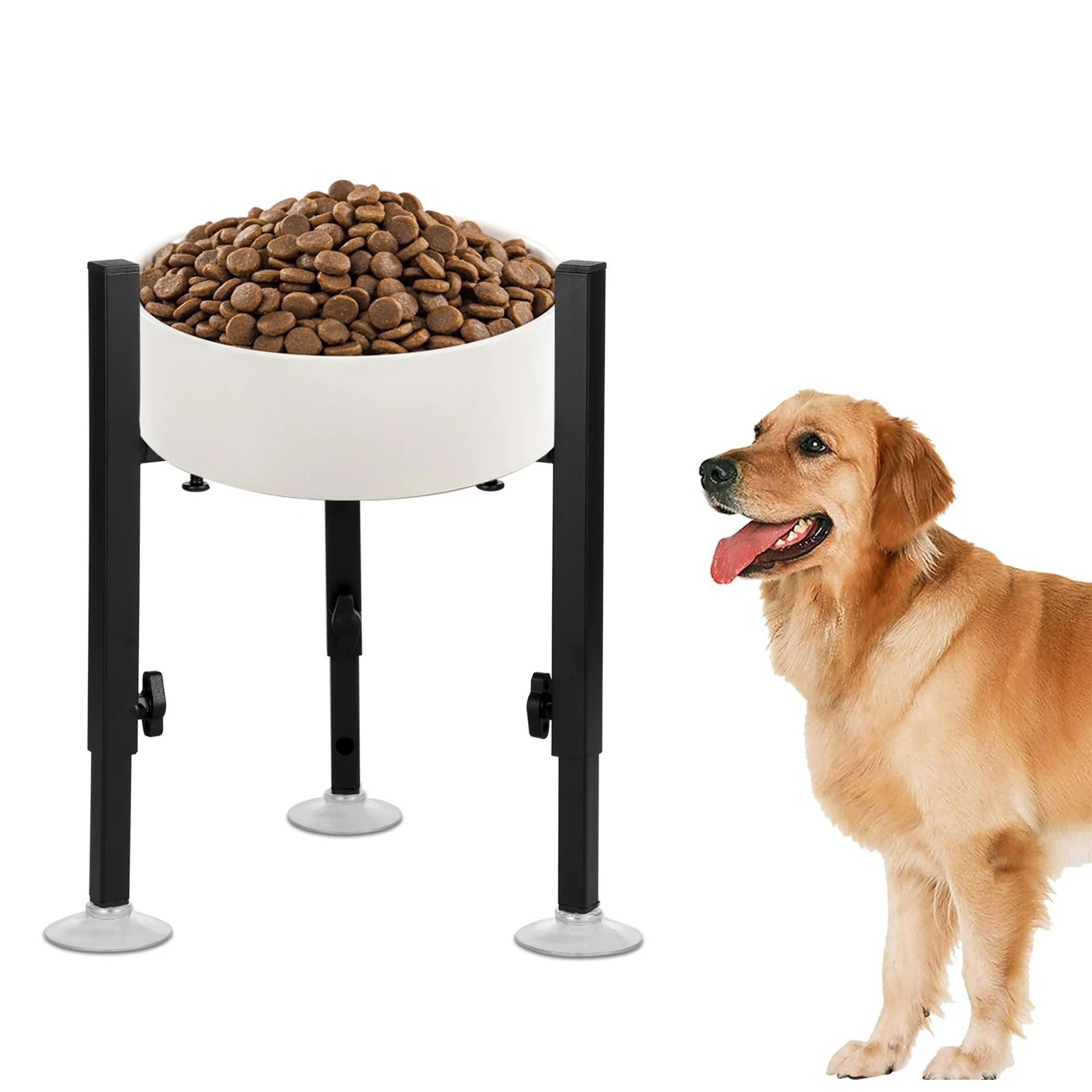 adjustable metal elevated dog food & water bowl stand