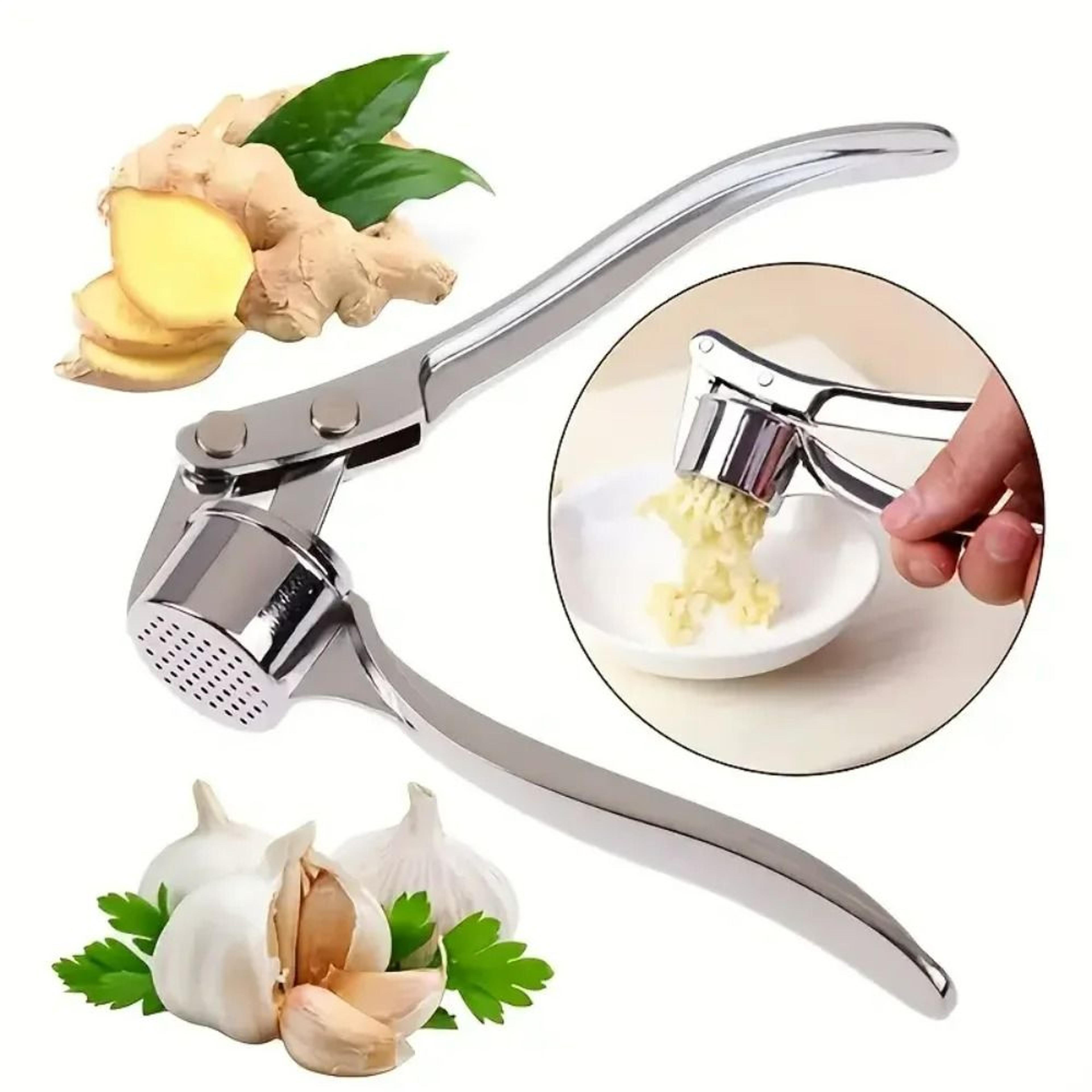 stainless steel ergonomic garlic press & rocker shredder