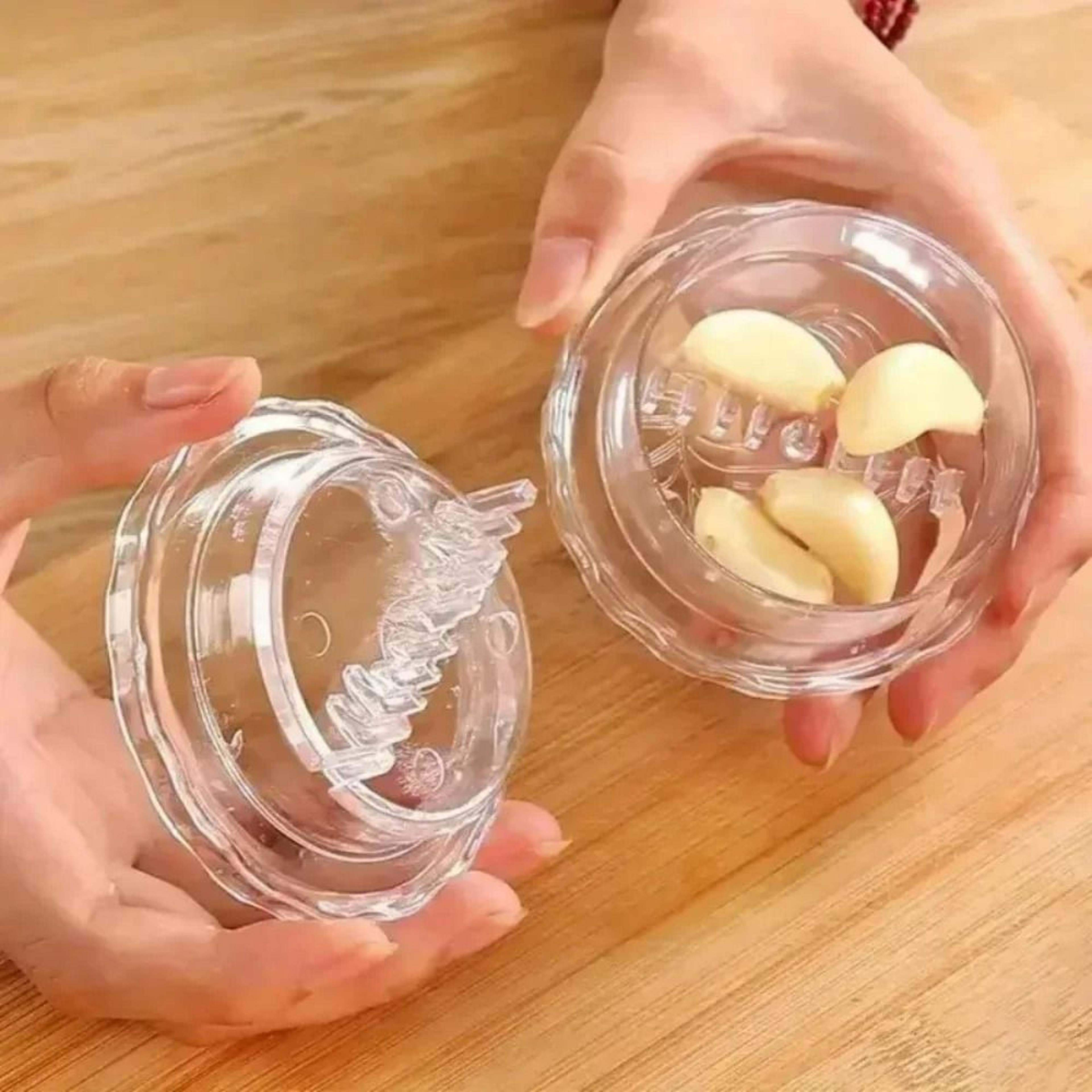 mini garlic press & grinder box container