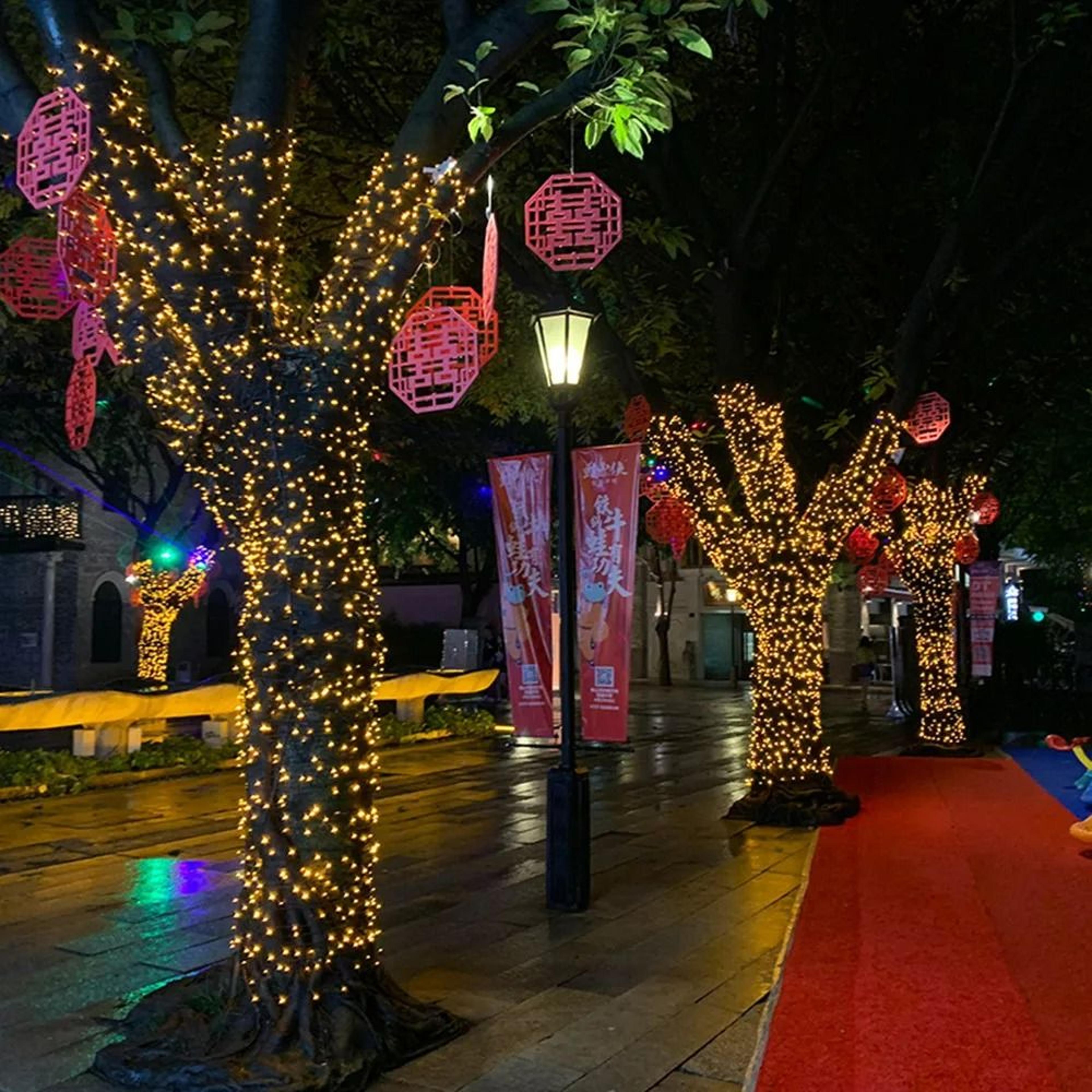 outdoor led christmas fairy string lights with 8 lighting modes