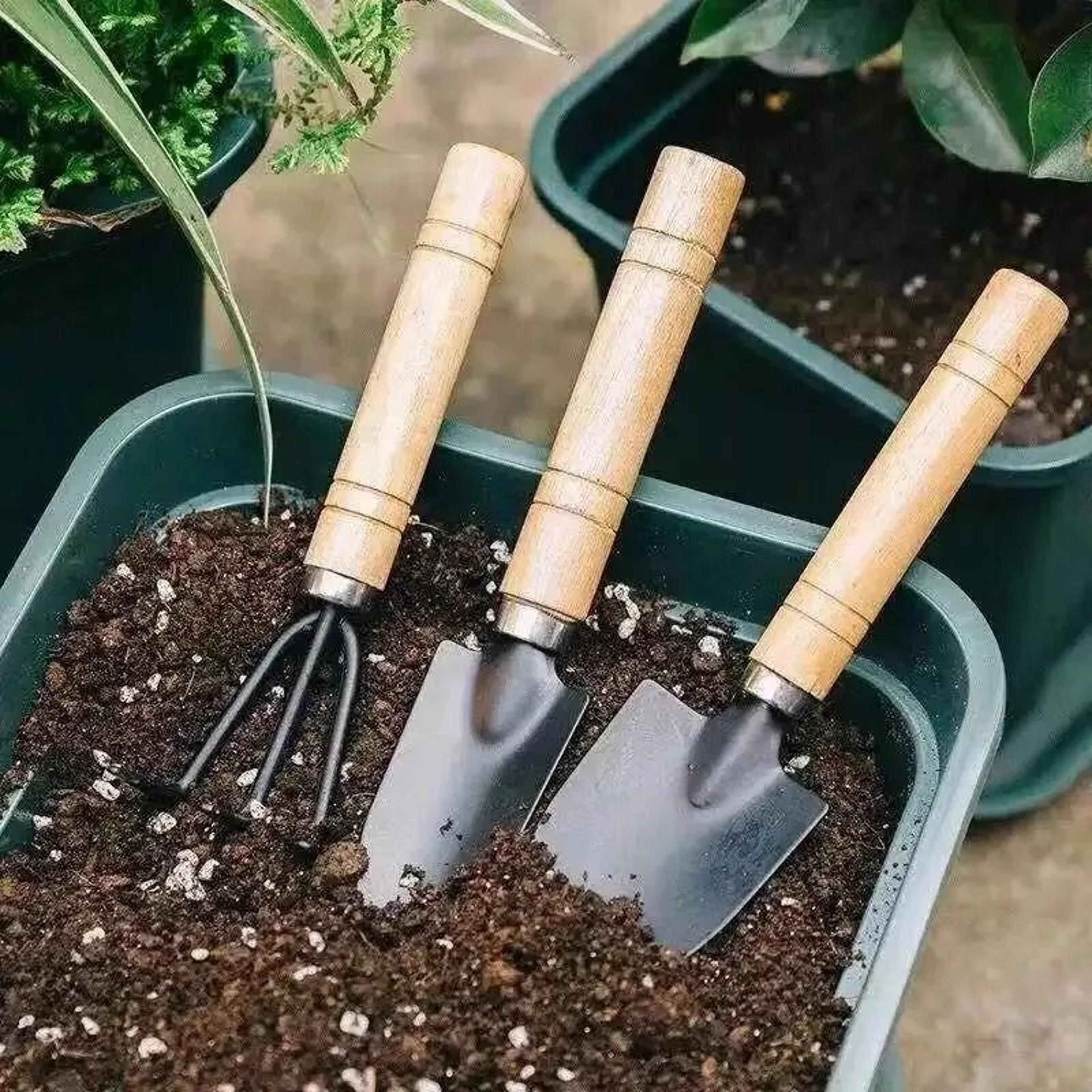 3-piece mini indoor plant and succulent gardening tool set