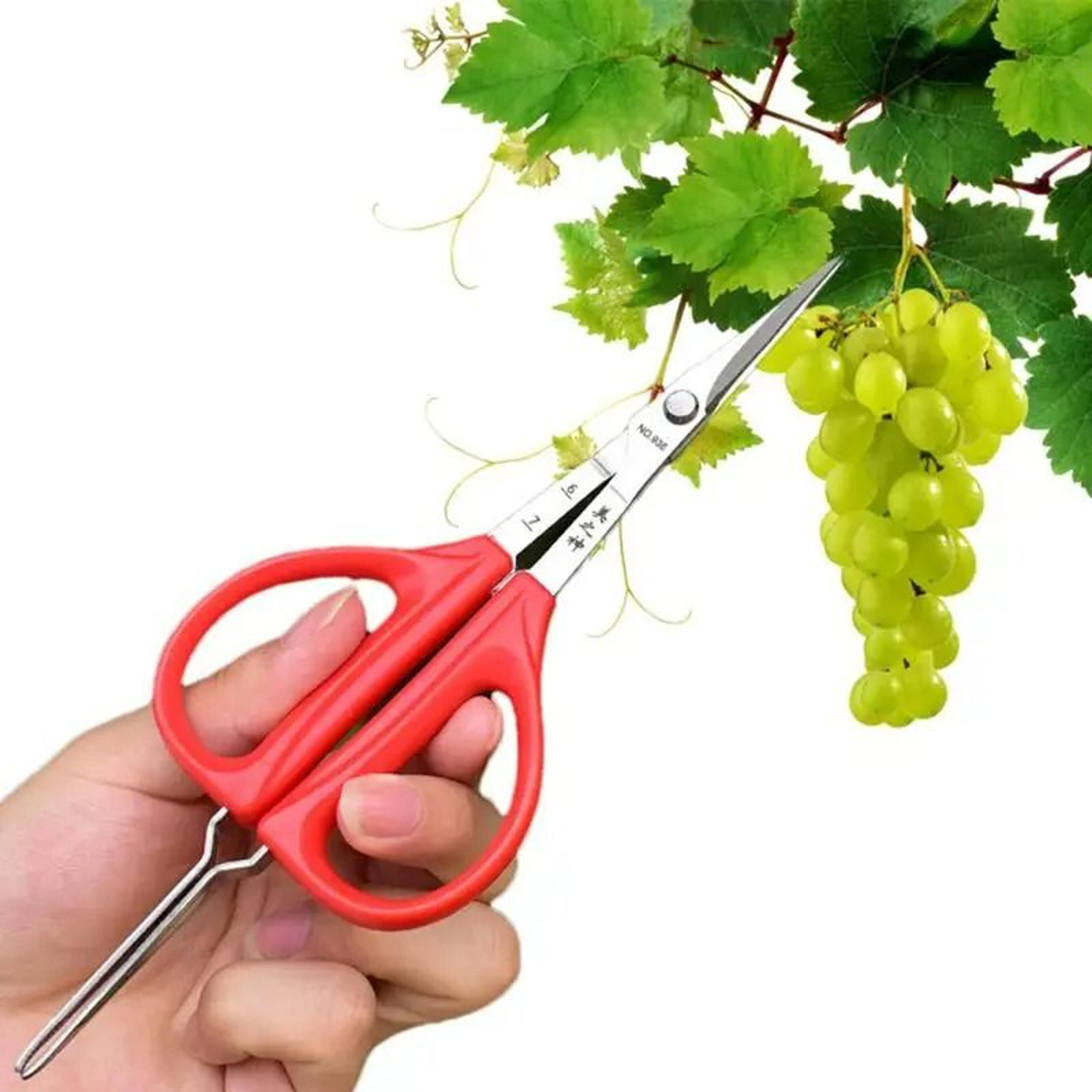 stainless steel grape pruning shears with tweezers