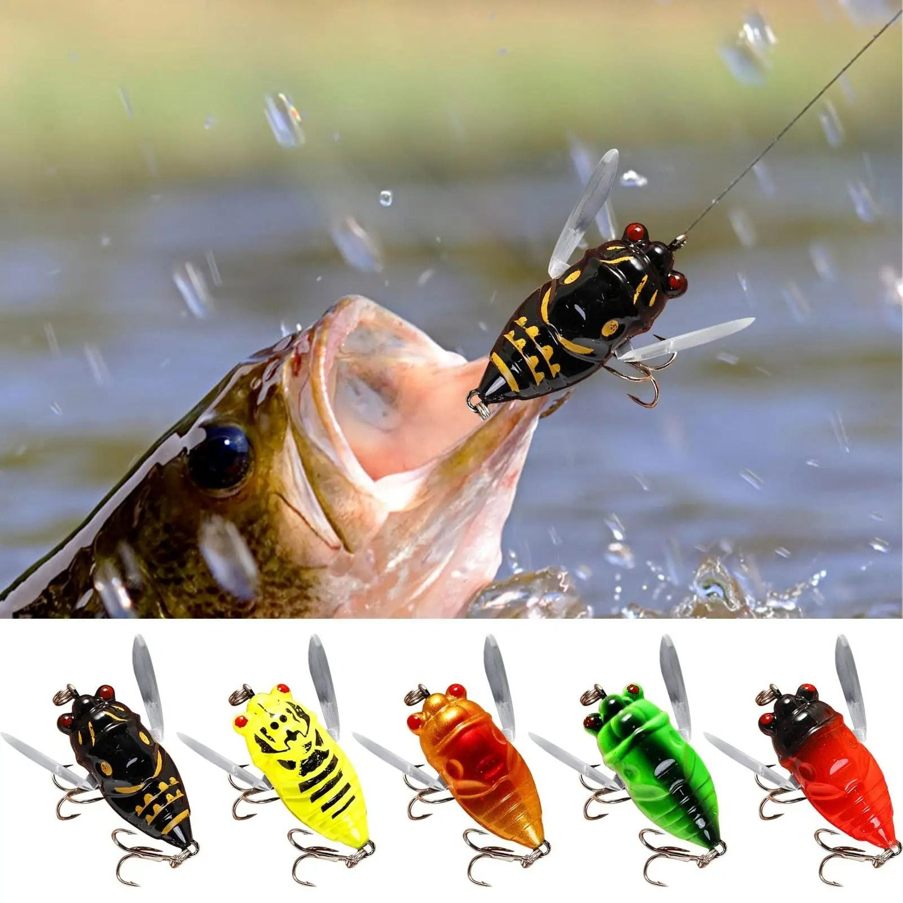 realistic topwater cicada fishing lure